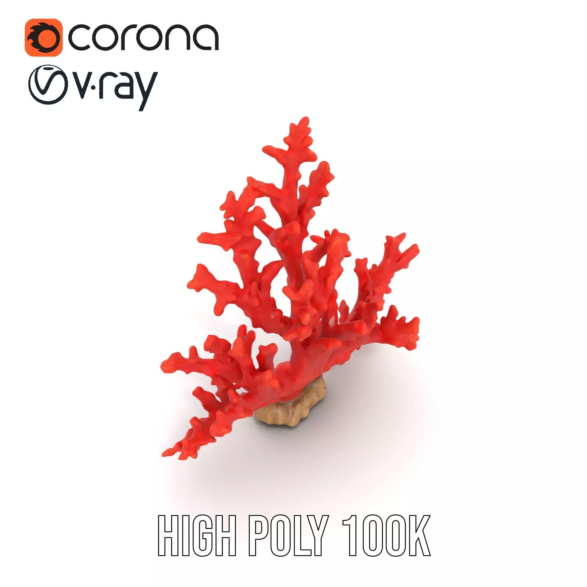 Vibrant Coral Reef model pack Low-poly 3D model_29