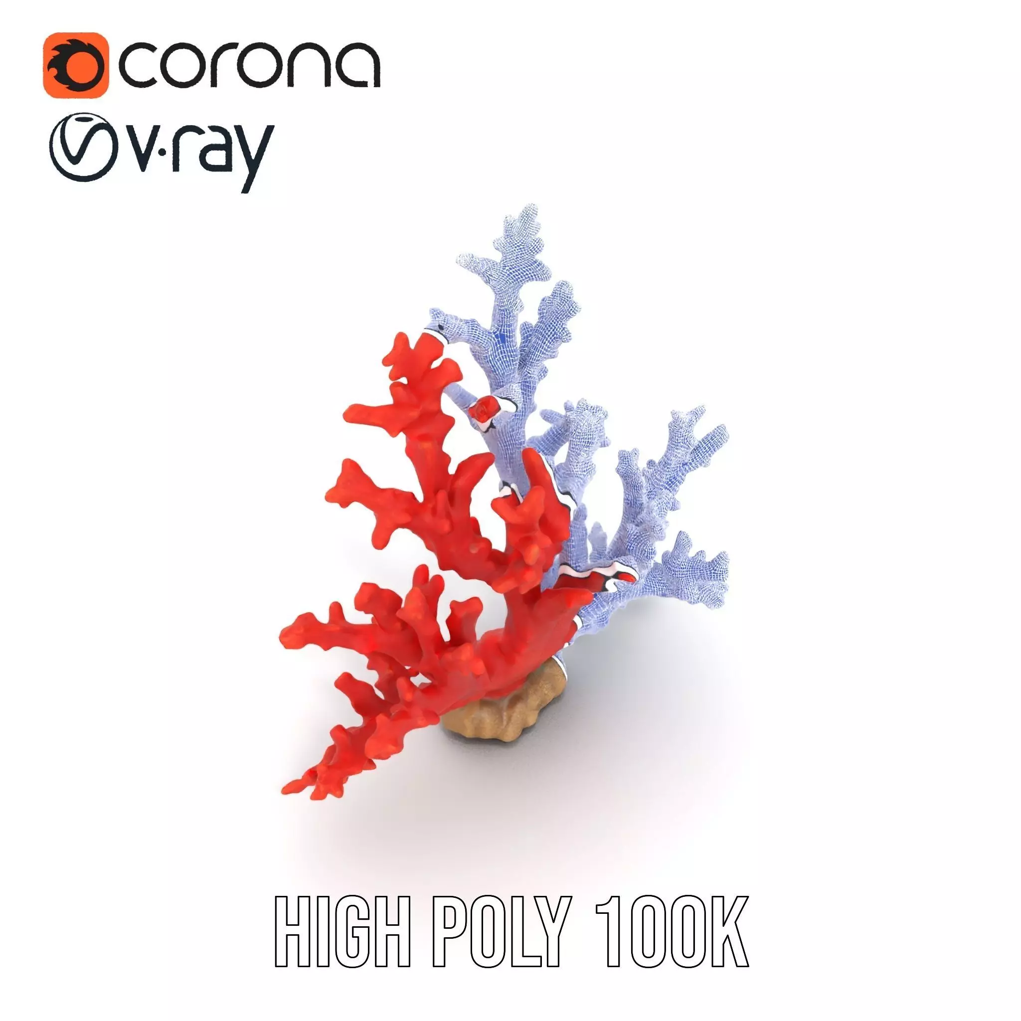 Vibrant Coral Reef model pack Low-poly 3D model_34