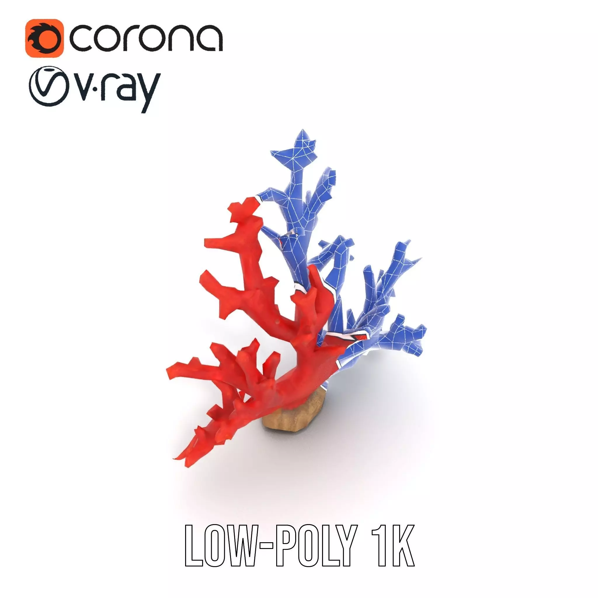 Vibrant Coral Reef model pack Low-poly 3D model_28