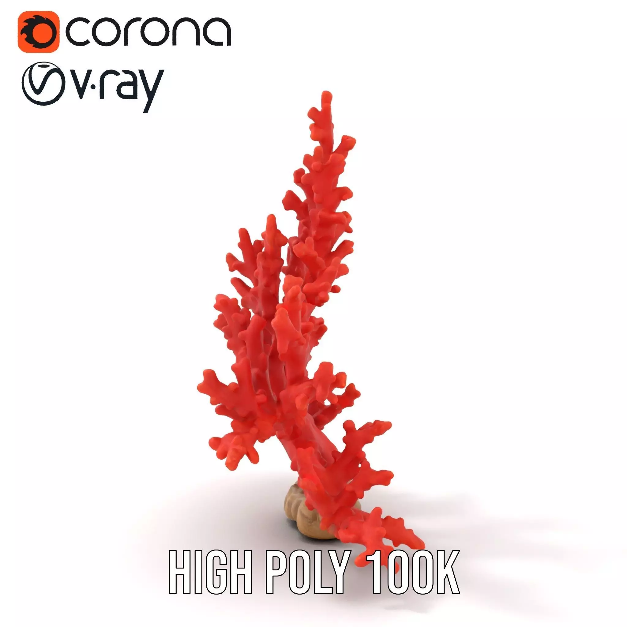 Vibrant Coral Reef model pack Low-poly 3D model_12
