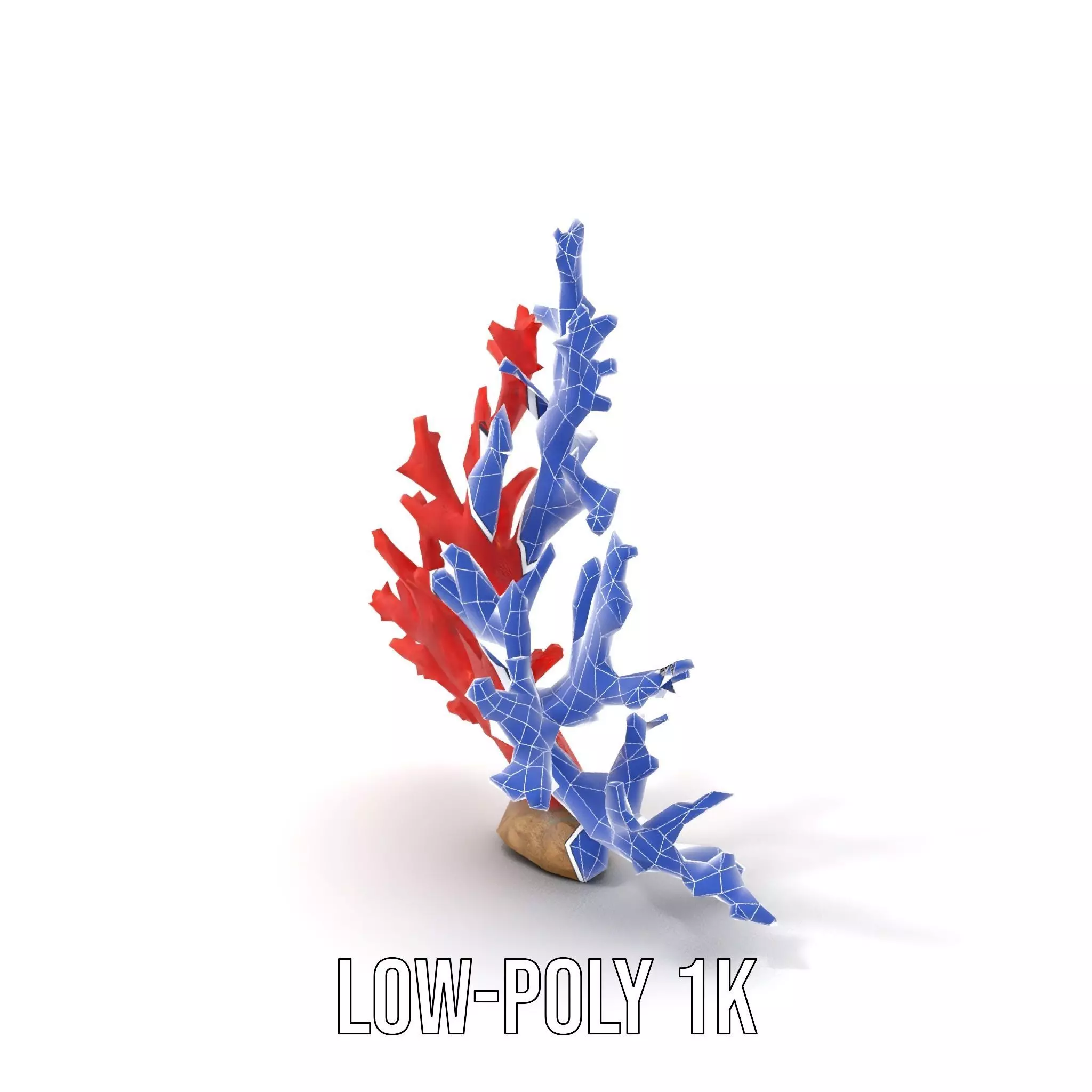 Vibrant Coral Reef model pack Low-poly 3D model_13