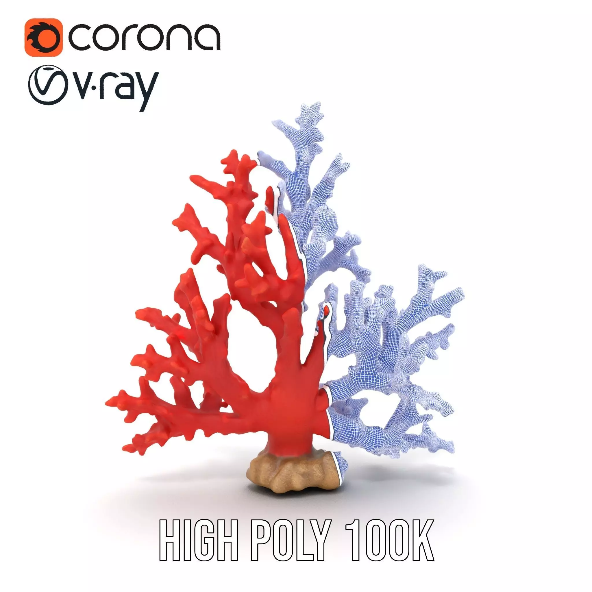 Vibrant Coral Reef model pack Low-poly 3D model_33
