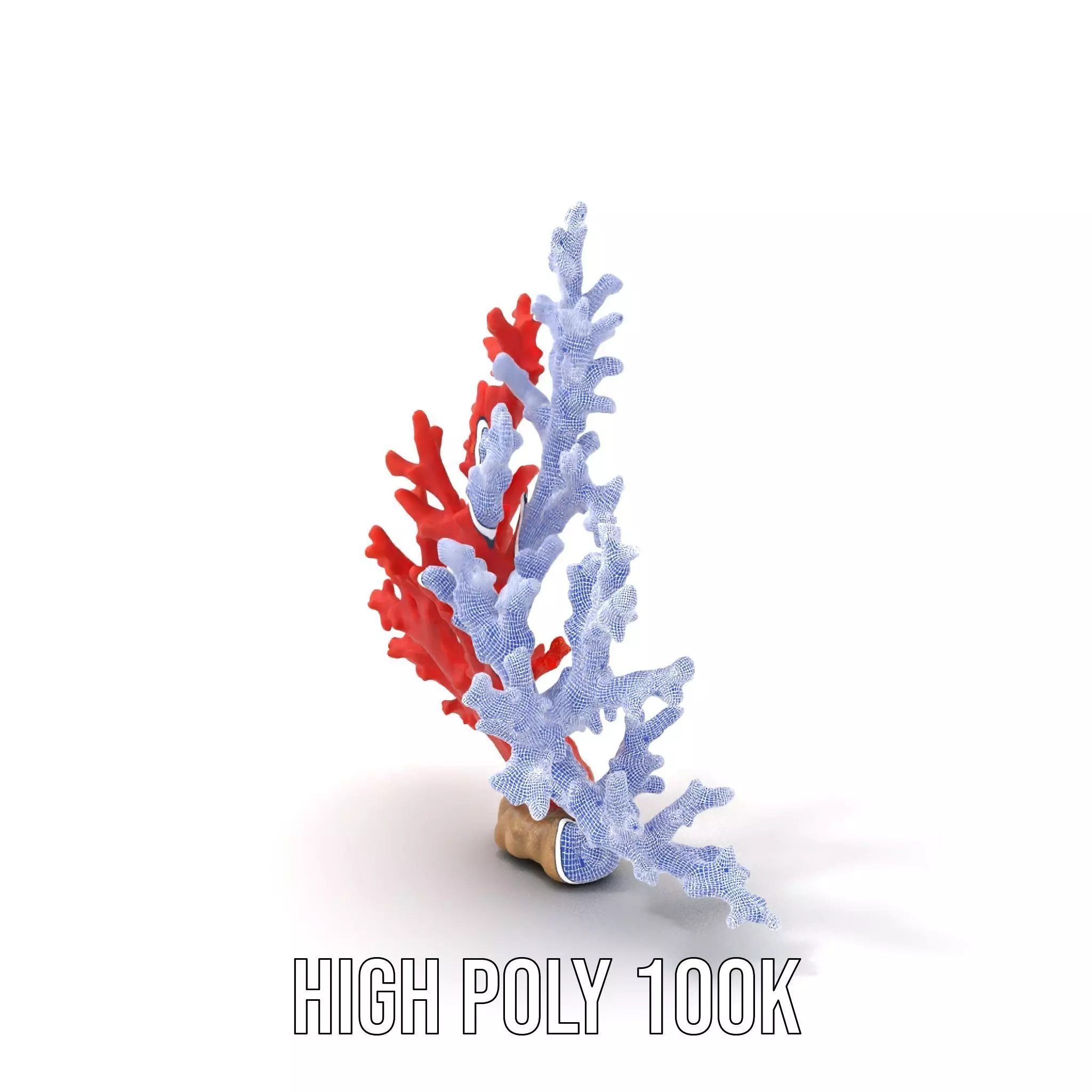 Vibrant Coral Reef model pack Low-poly 3D model_5