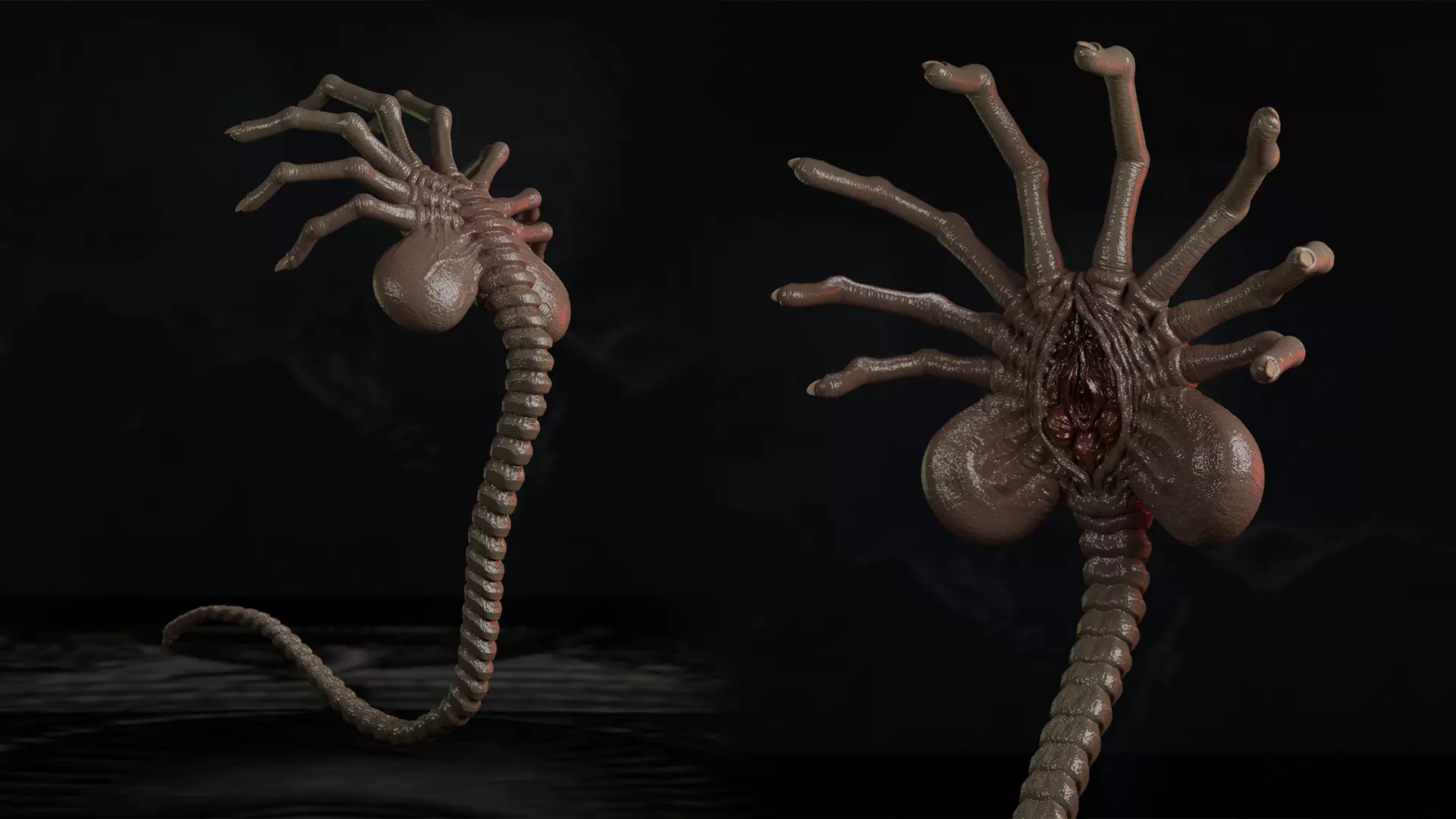 Facehugger 3D Model Alien Creature STL OBJ 3D print model