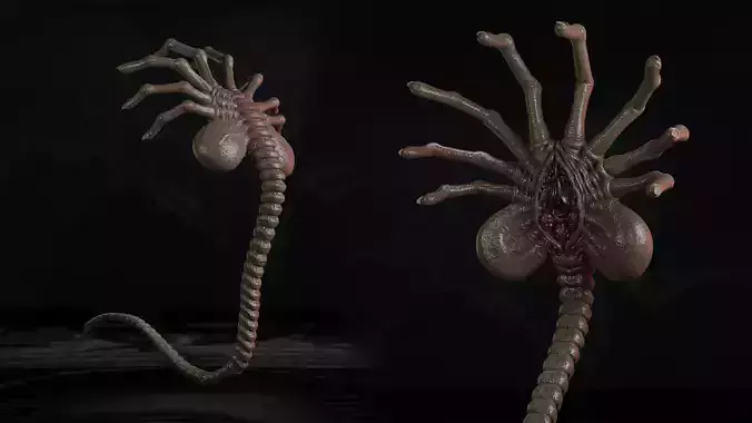 Facehugger 3D Model  Alien Creature STL OBJ  