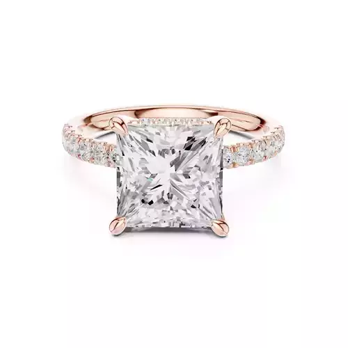 4CT Princess Cut Double Hidden Halo Engagement Ring File Video