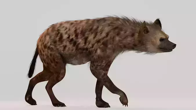Realistic Animals Savannah - Hyena 