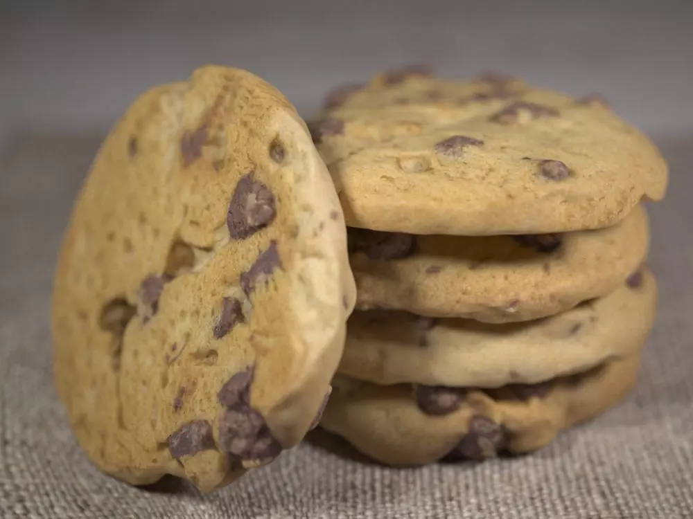 CHOC CHIP COOKIE - LOW and HIGH Poly 3D model_0