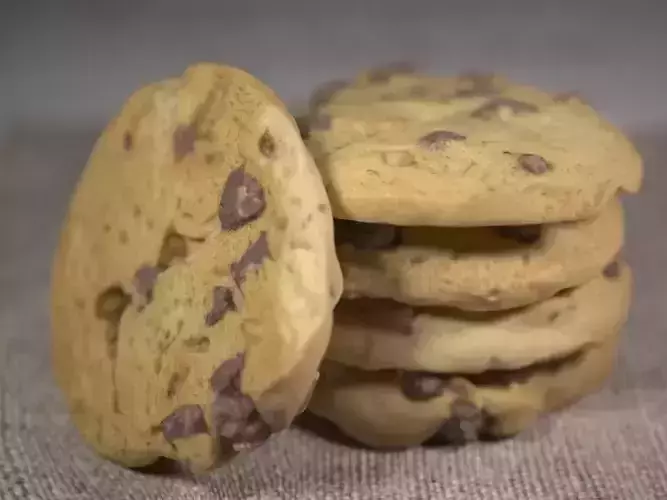 CHOC CHIP COOKIE - LOW and HIGH Poly 3D model