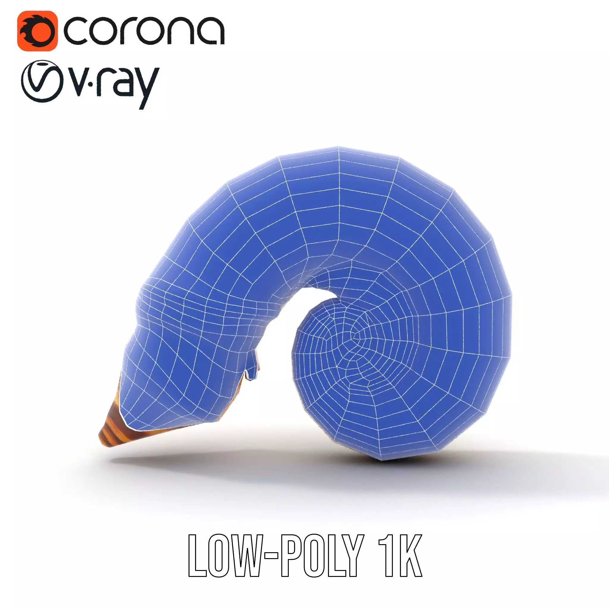 Seashell Spiral model pack Low-poly 3D model_18