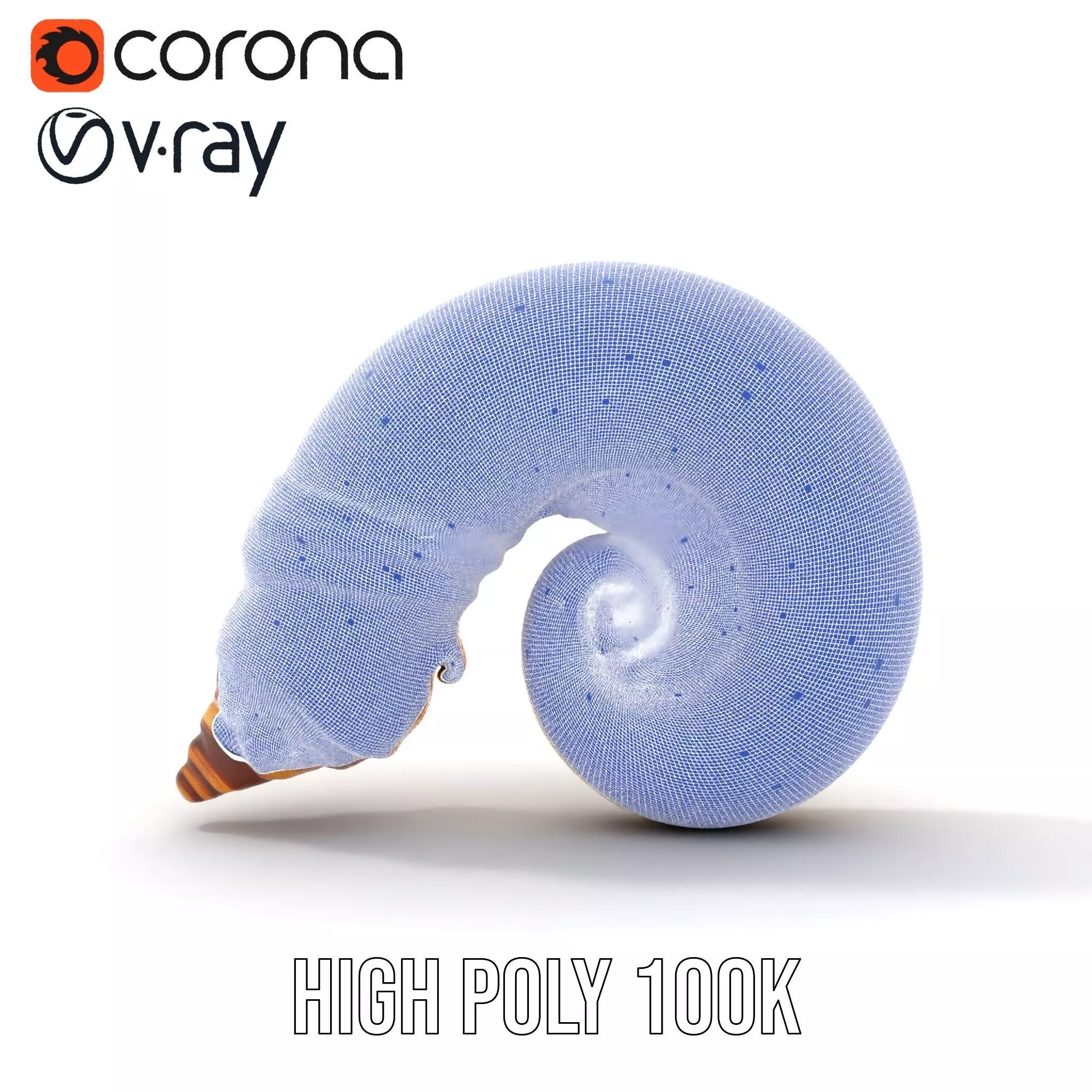 Seashell Spiral model pack Low-poly 3D model_34