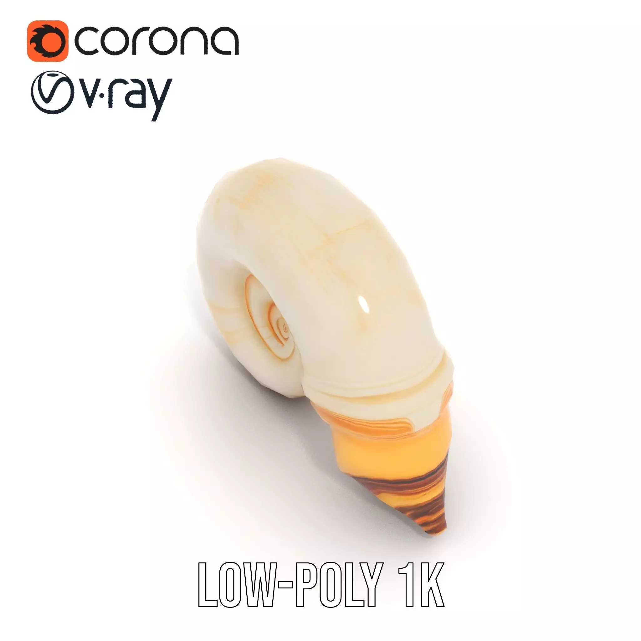Seashell Spiral model pack Low-poly 3D model_25