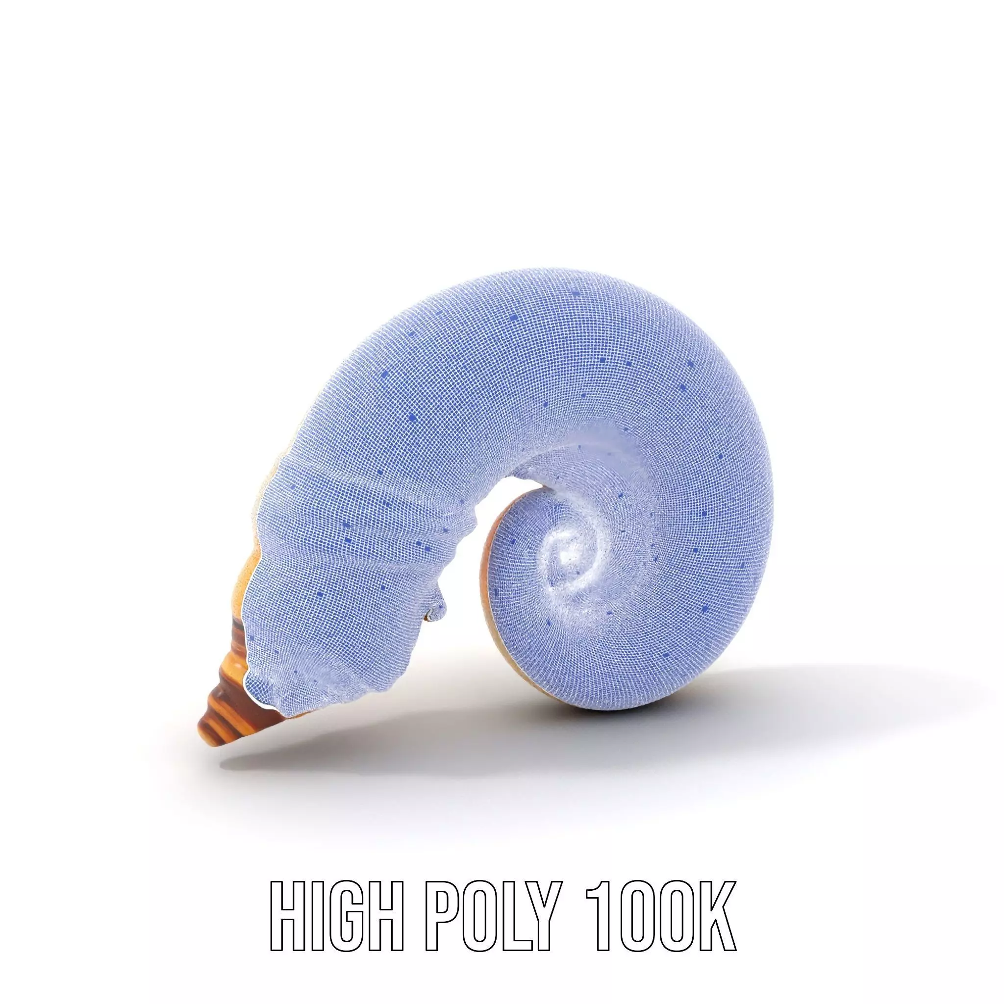 Seashell Spiral model pack Low-poly 3D model_5