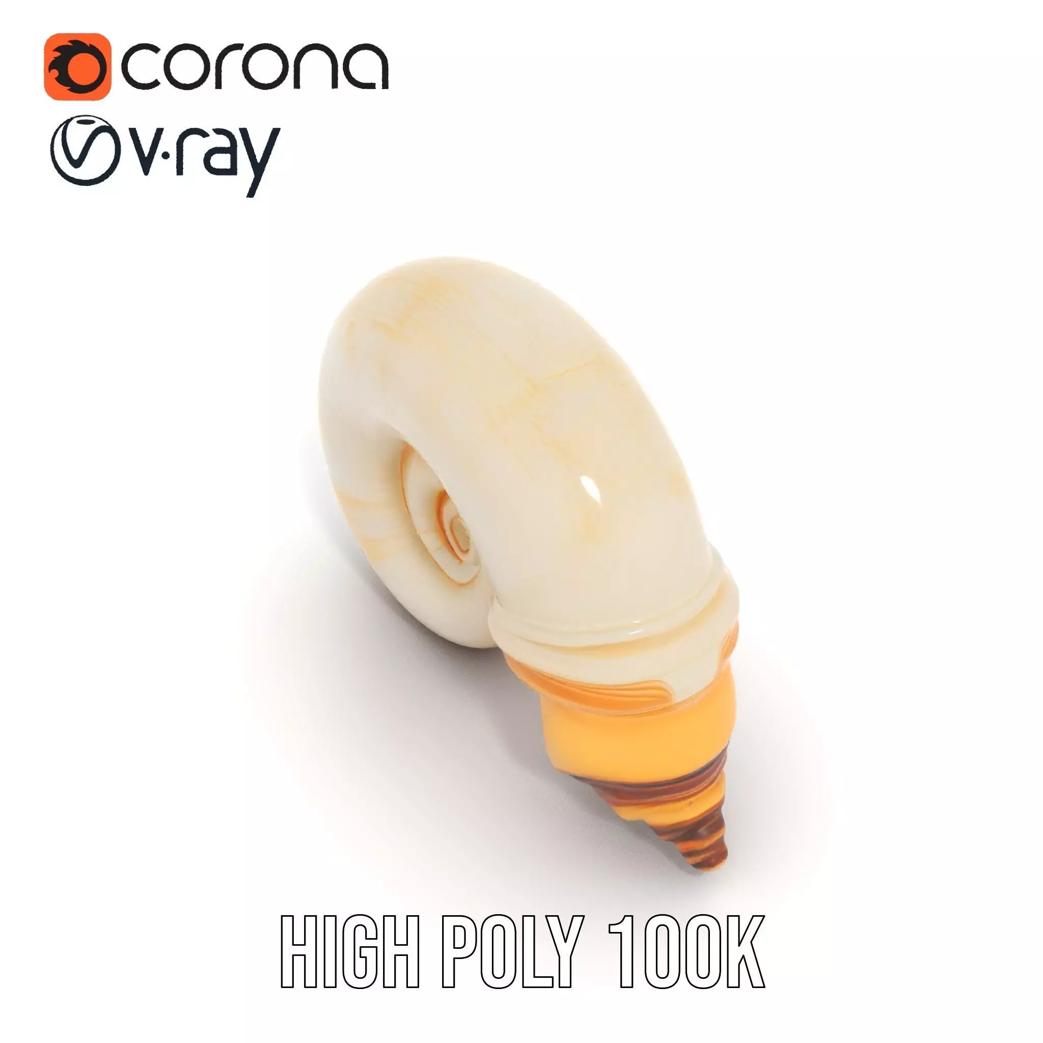 Seashell Spiral model pack Low-poly 3D model_16