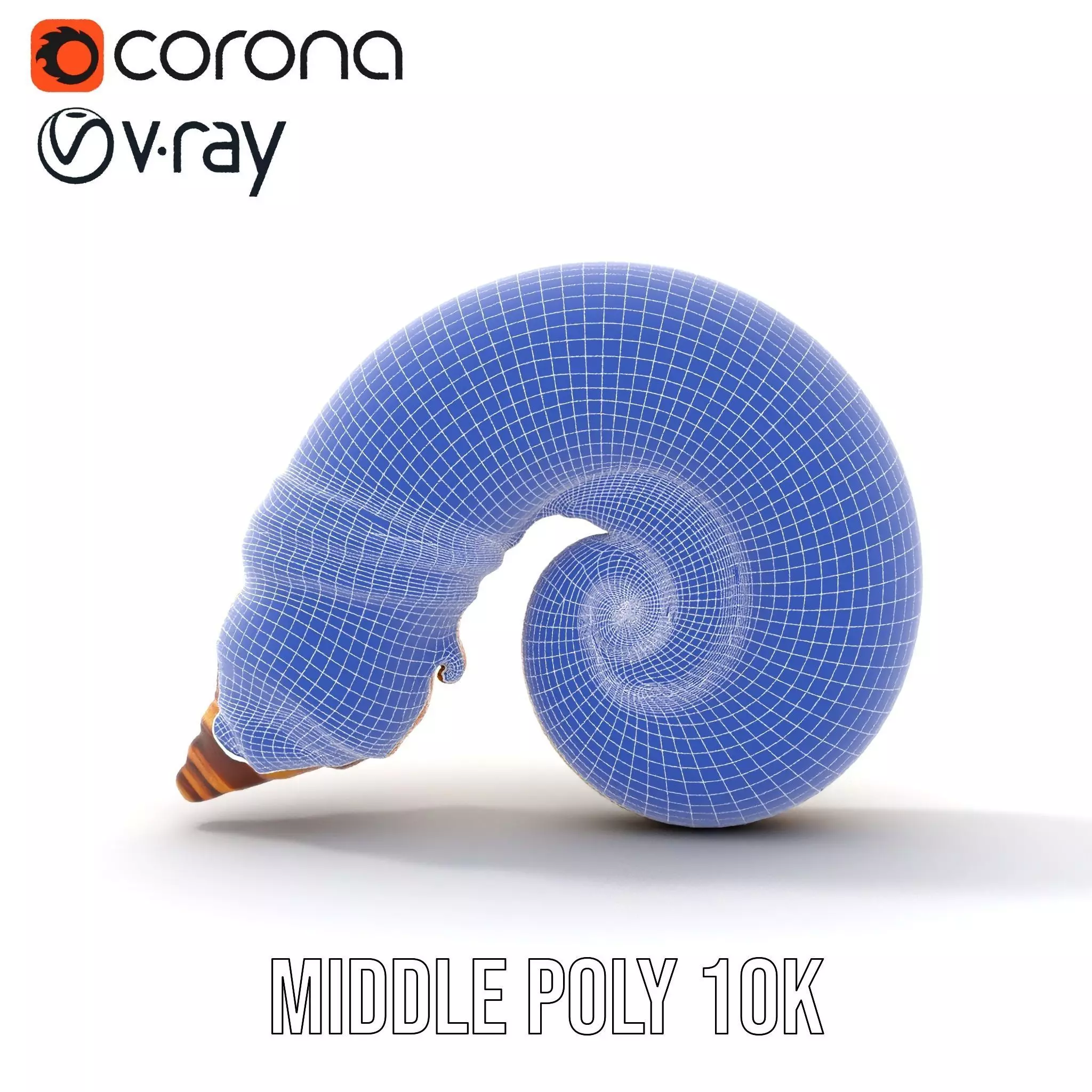 Seashell Spiral model pack Low-poly 3D model_24
