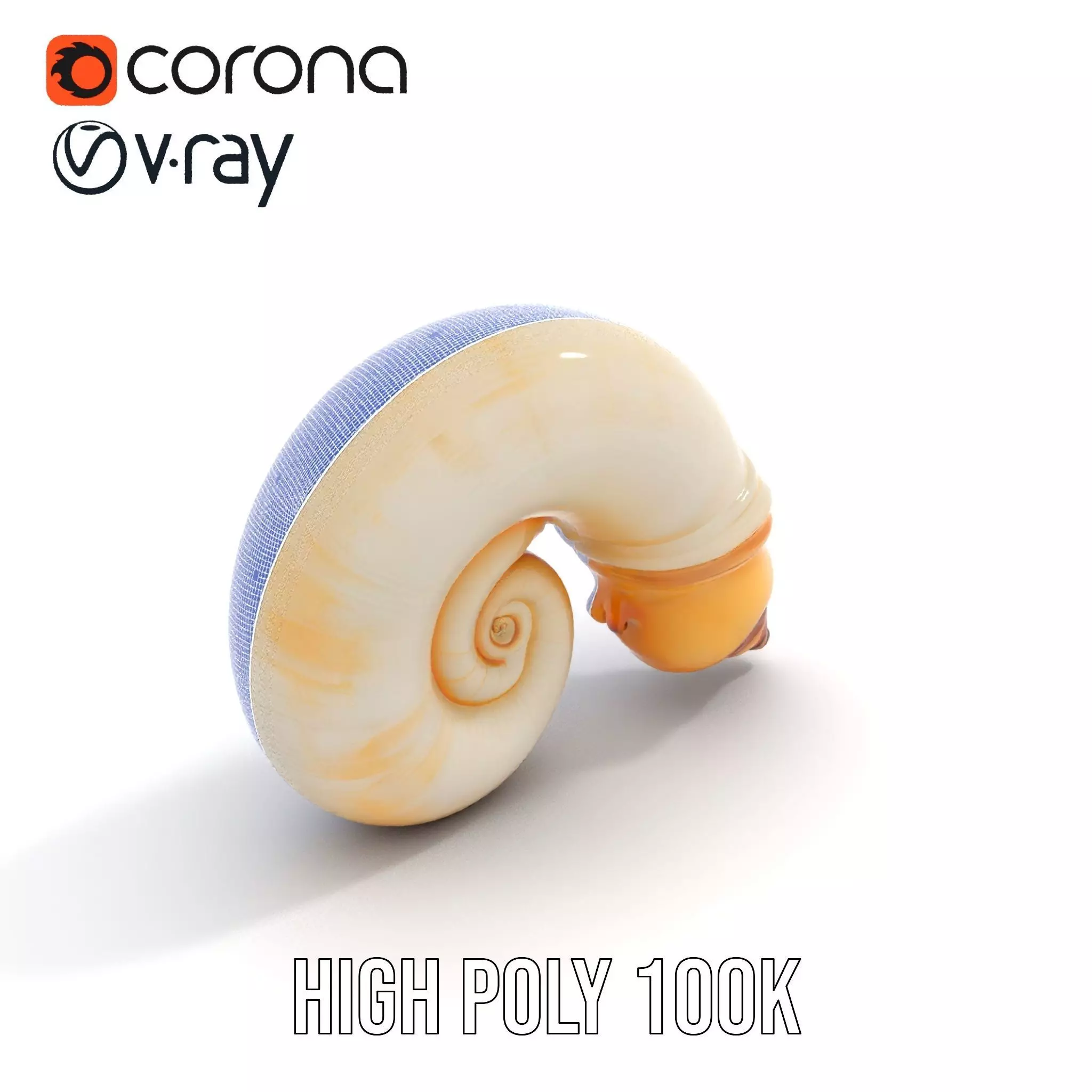 Seashell Spiral model pack Low-poly 3D model_19