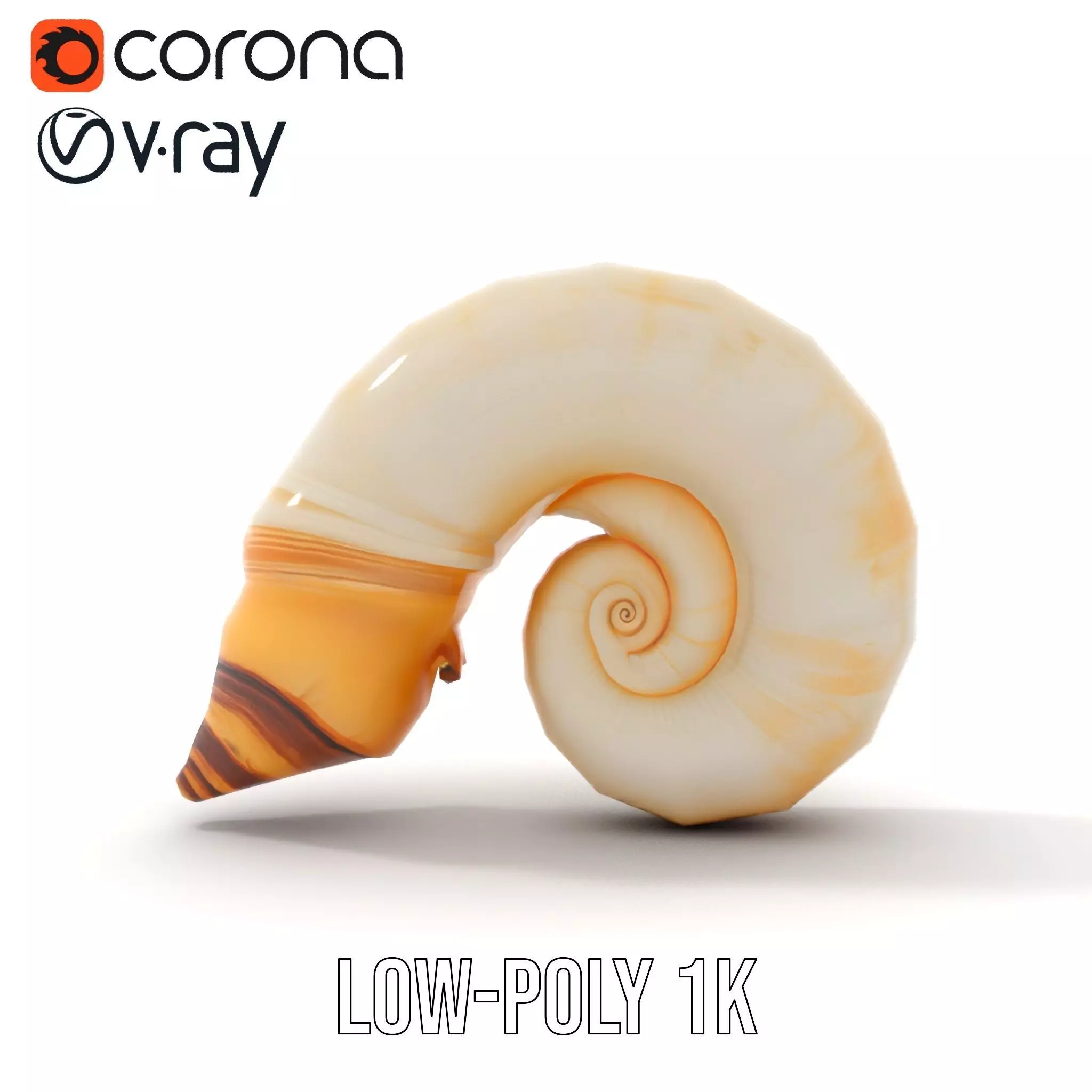 Seashell Spiral model pack Low-poly 3D model_28