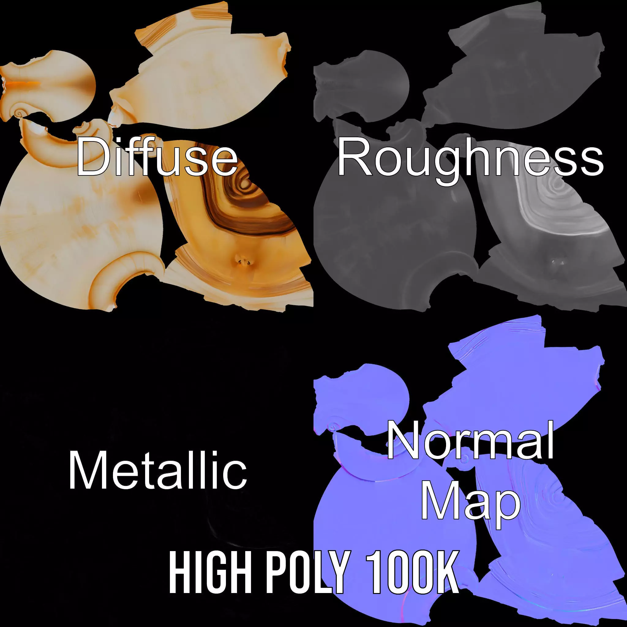 Seashell Spiral model pack Low-poly 3D model_4