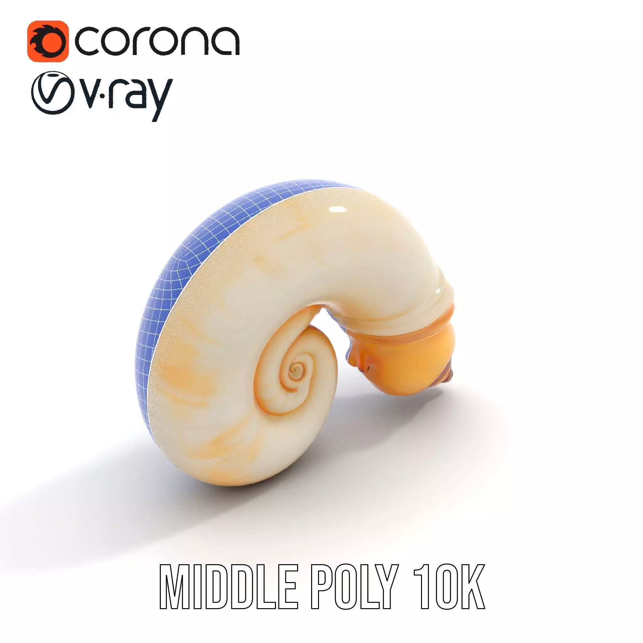 Seashell Spiral model pack Low-poly 3D model_27