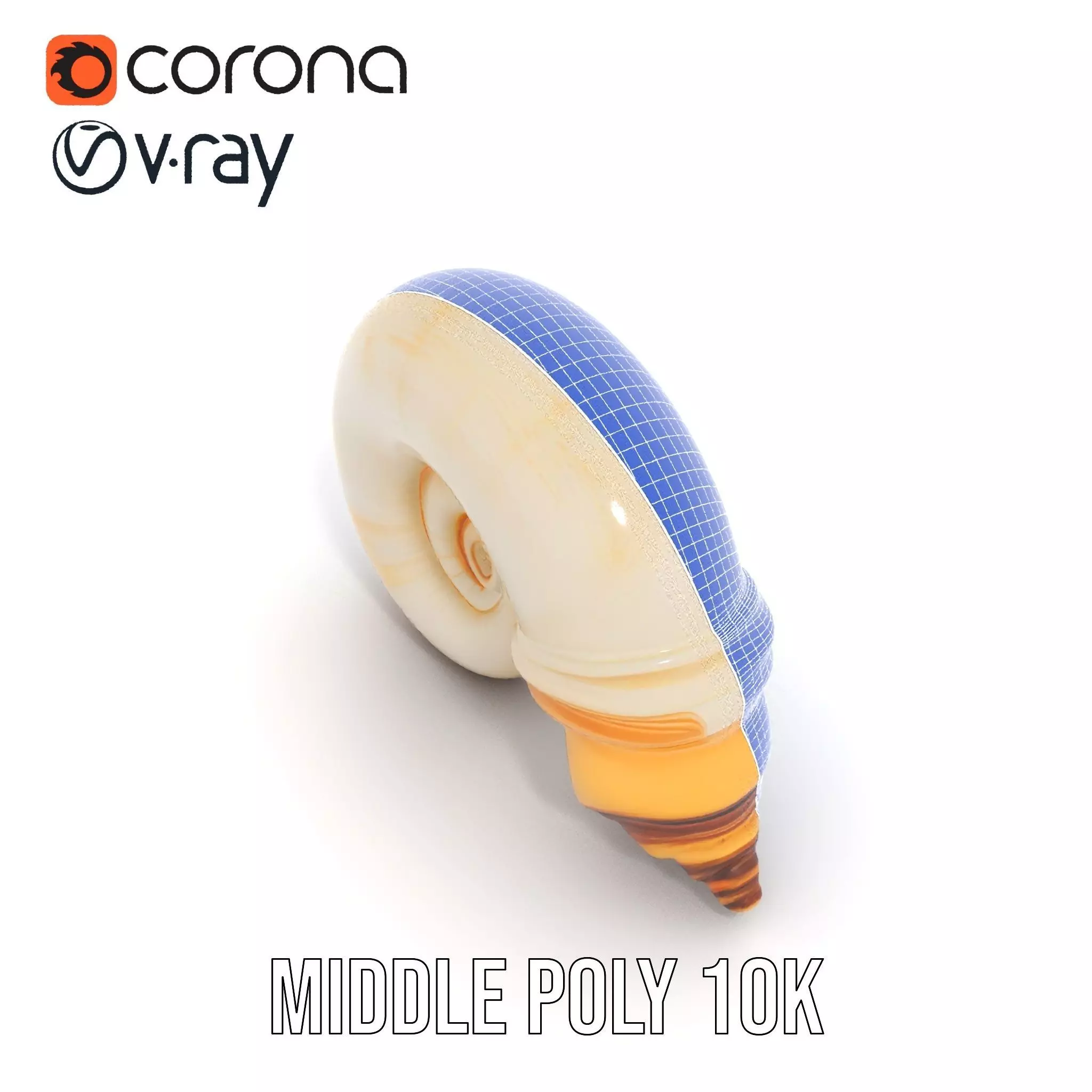 Seashell Spiral model pack Low-poly 3D model_22
