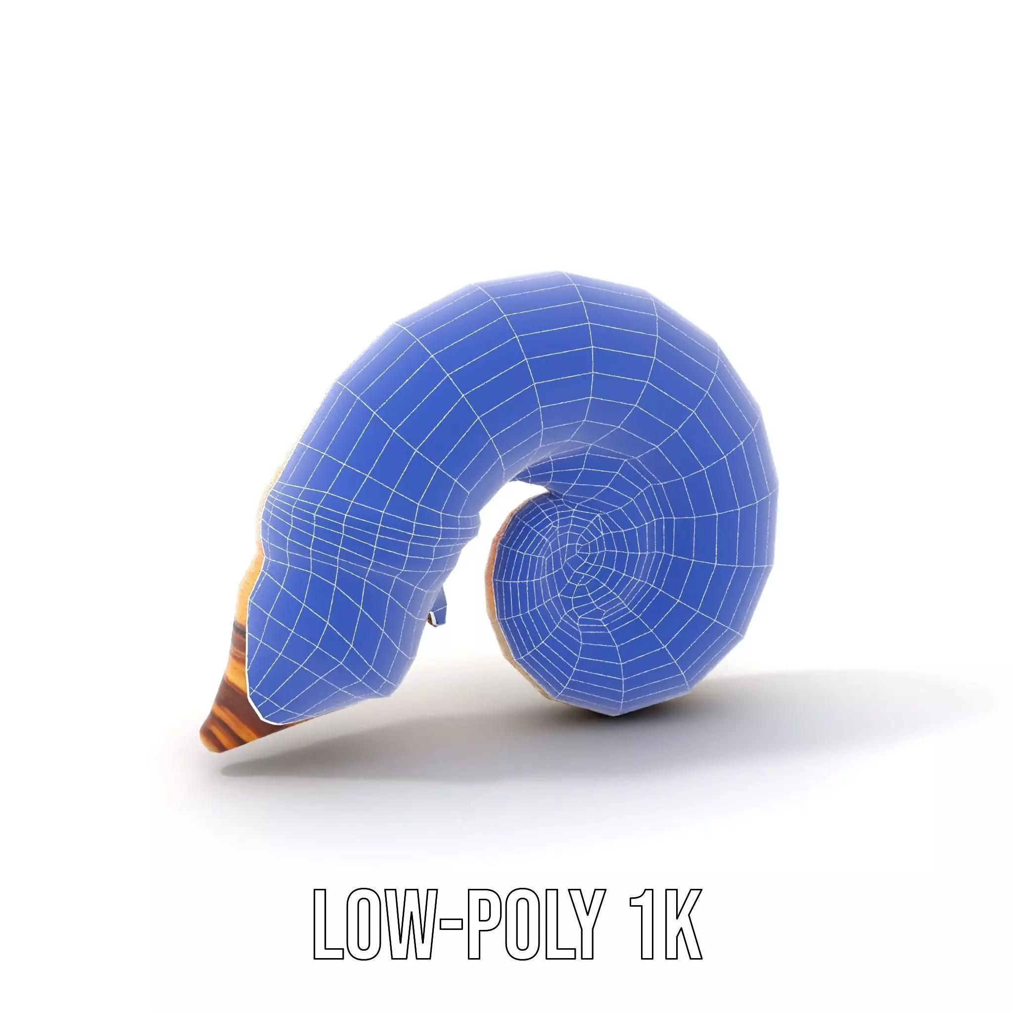 Seashell Spiral model pack Low-poly 3D model_13