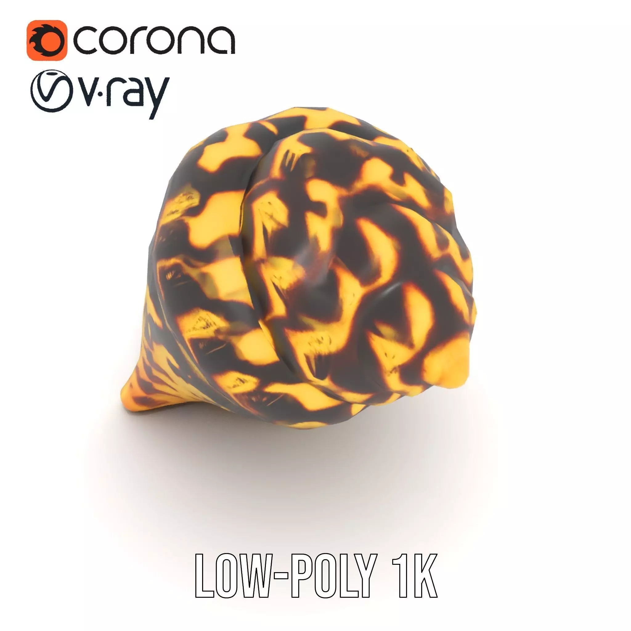 Patterned Seashell model pack Low-poly 3D model_17