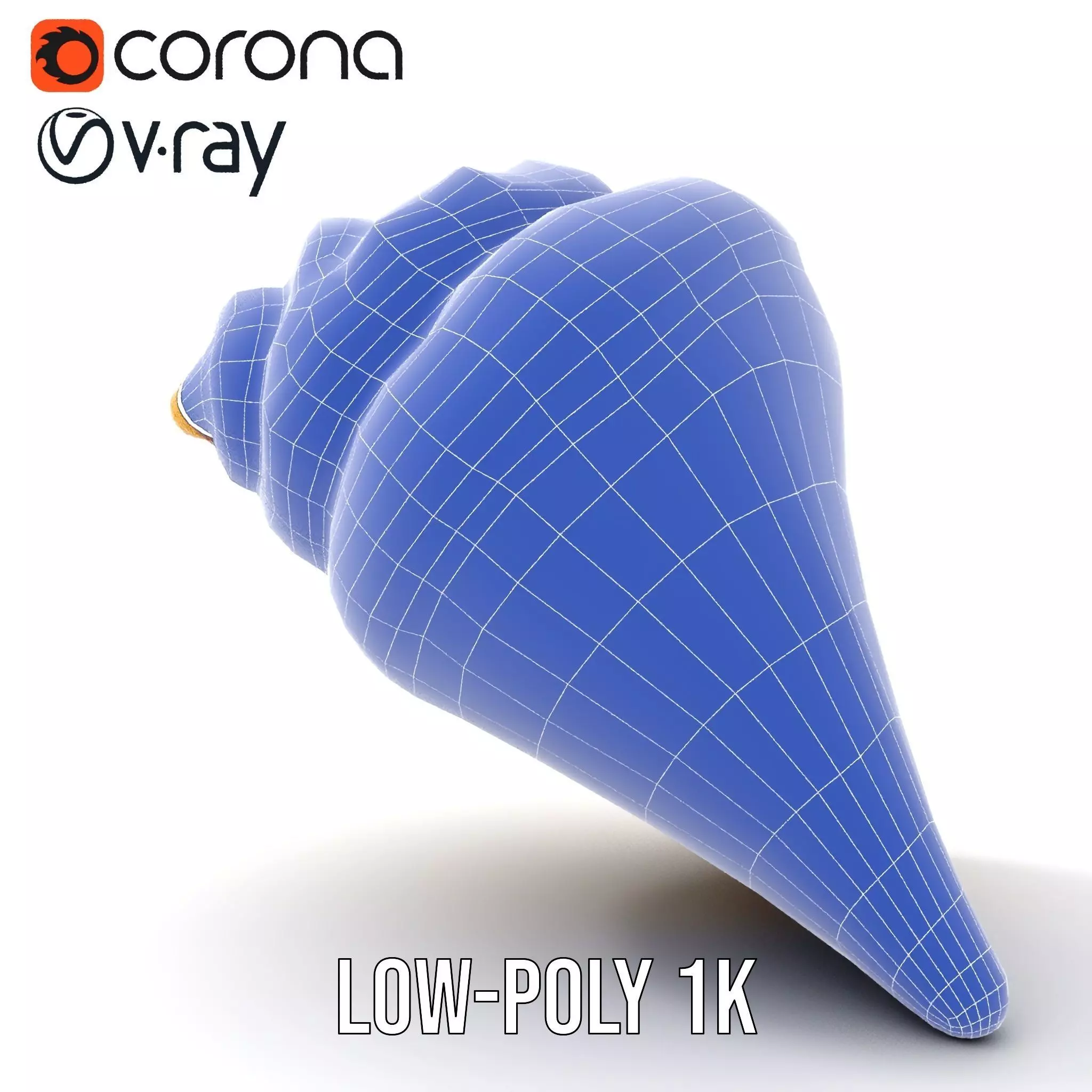 Patterned Seashell model pack Low-poly 3D model_32