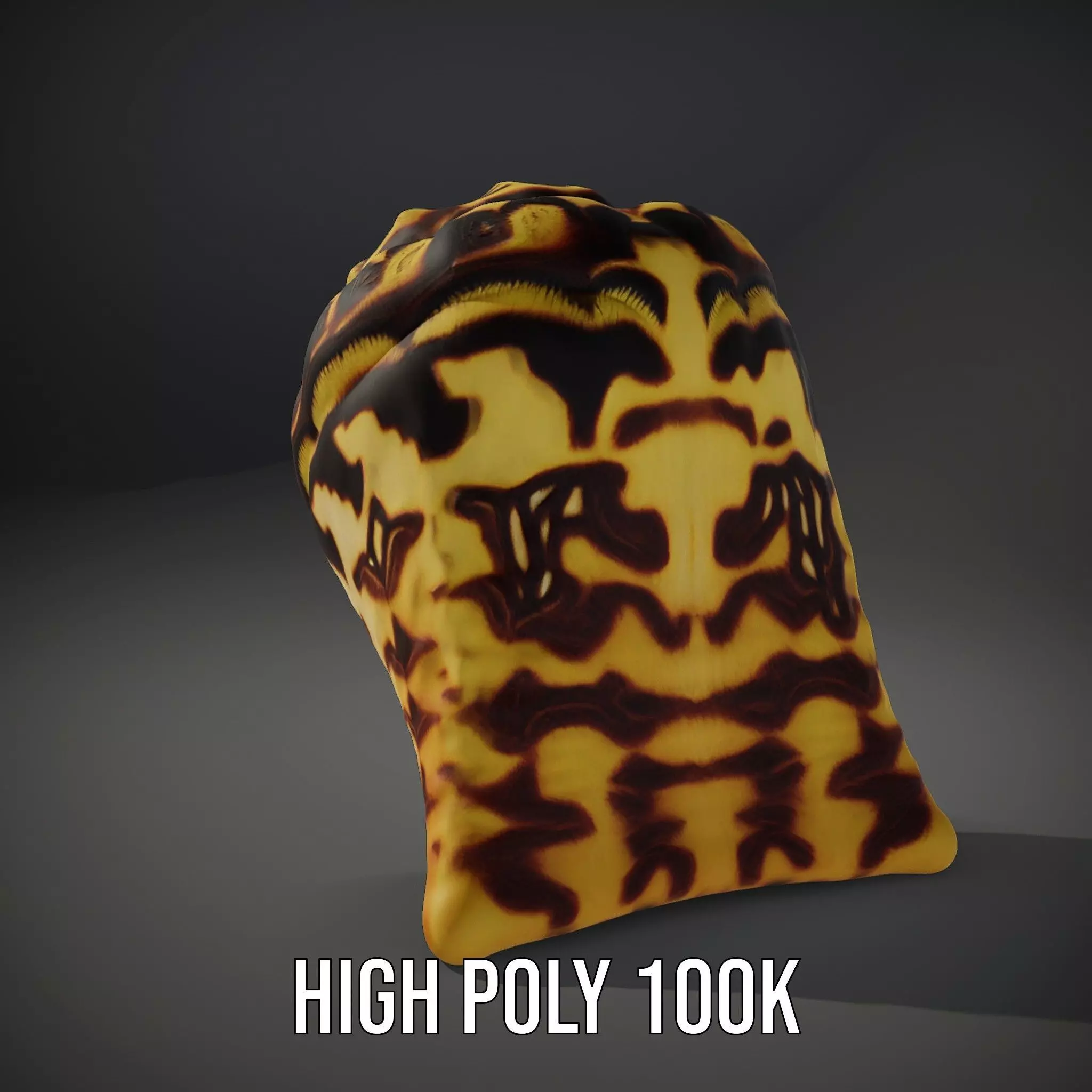 Patterned Seashell model pack Low-poly 3D model_9