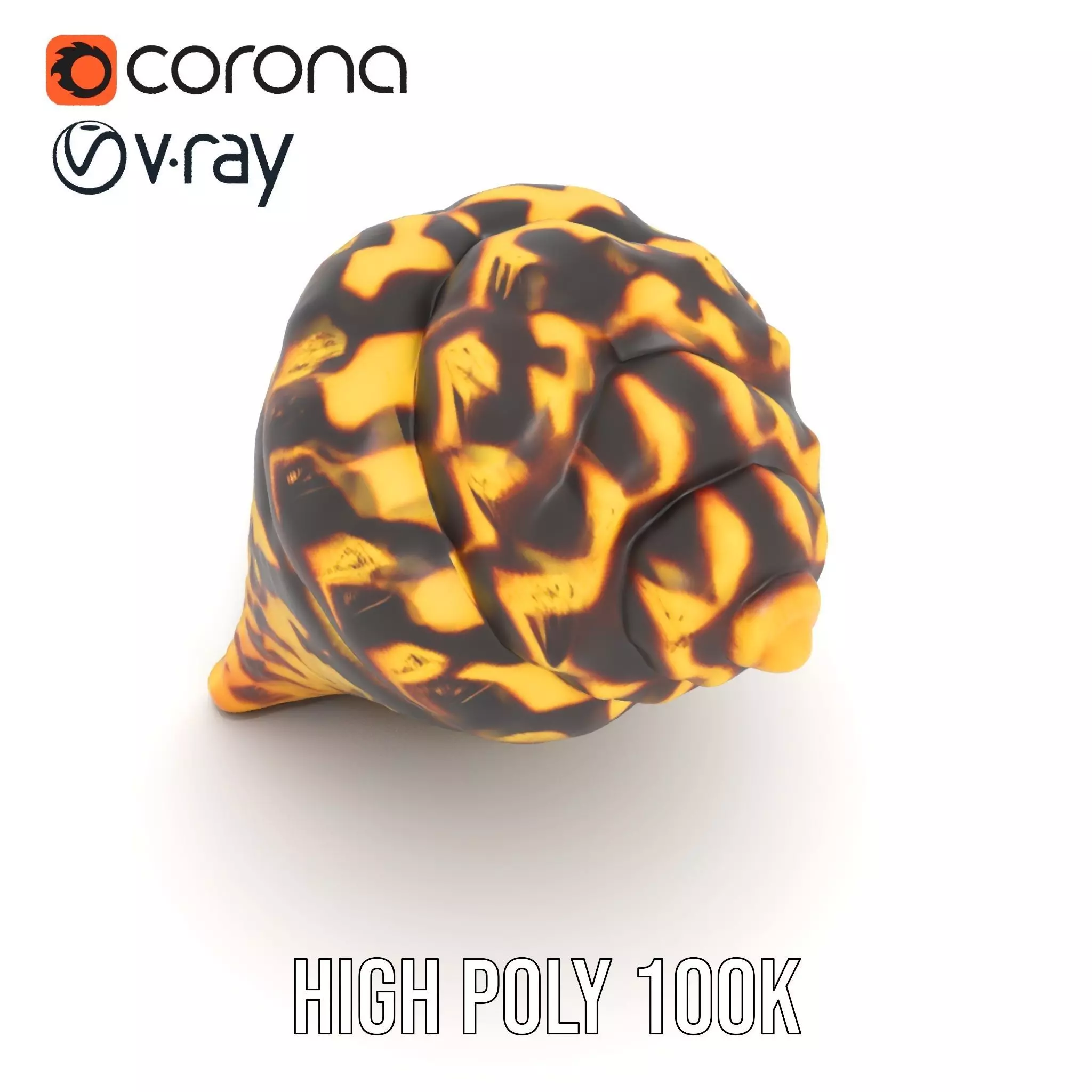 Patterned Seashell model pack Low-poly 3D model_18