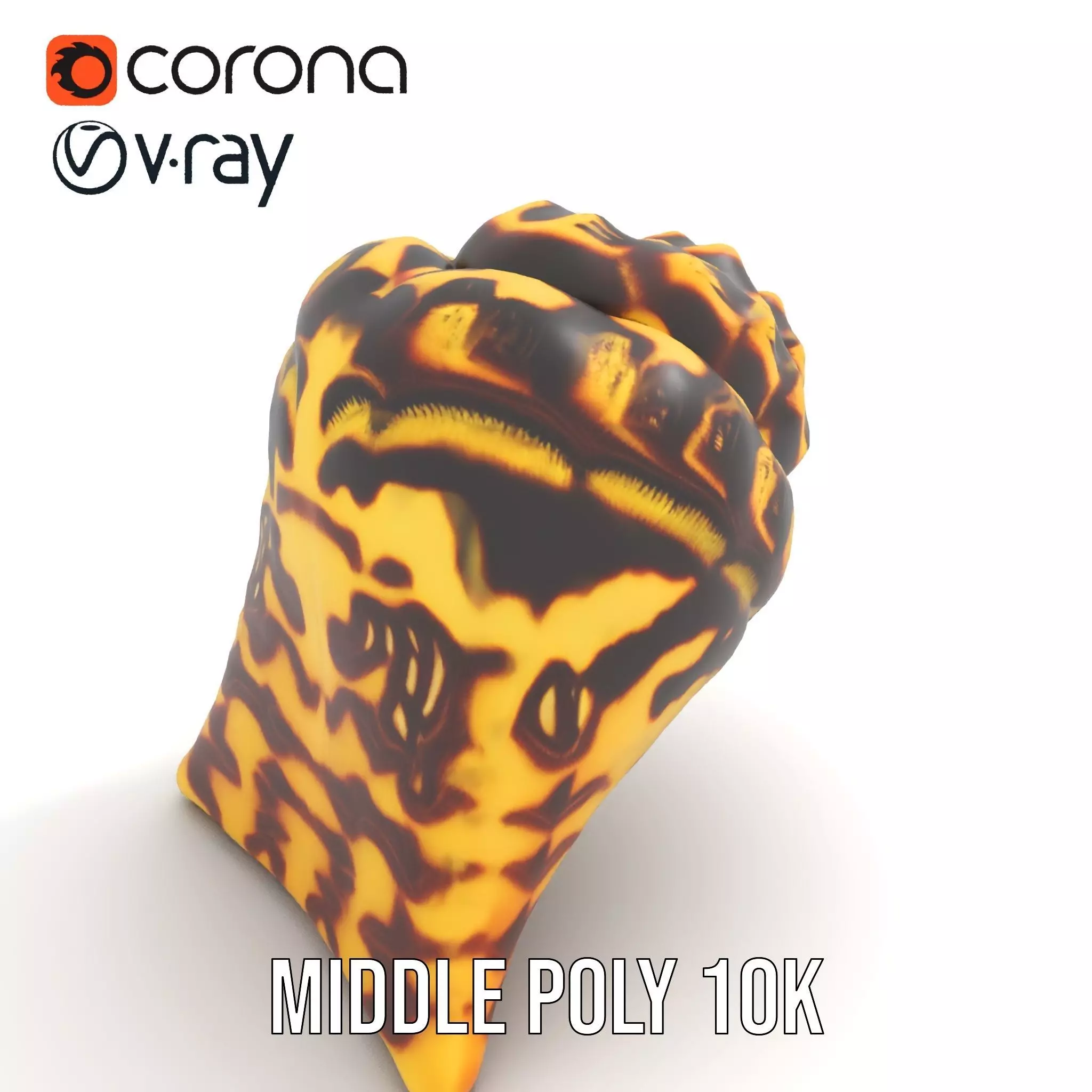 Patterned Seashell model pack Low-poly 3D model_6