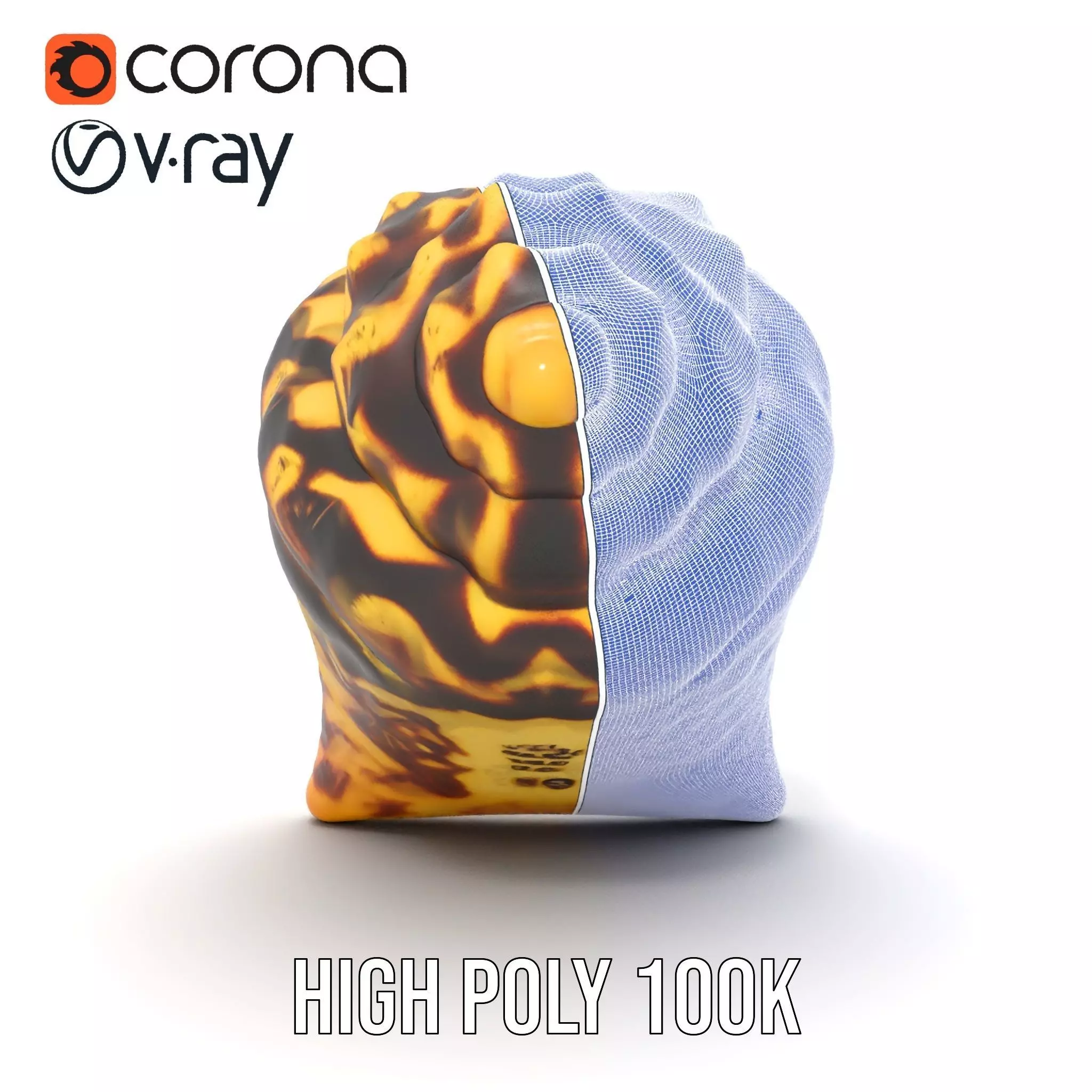 Patterned Seashell model pack Low-poly 3D model_33