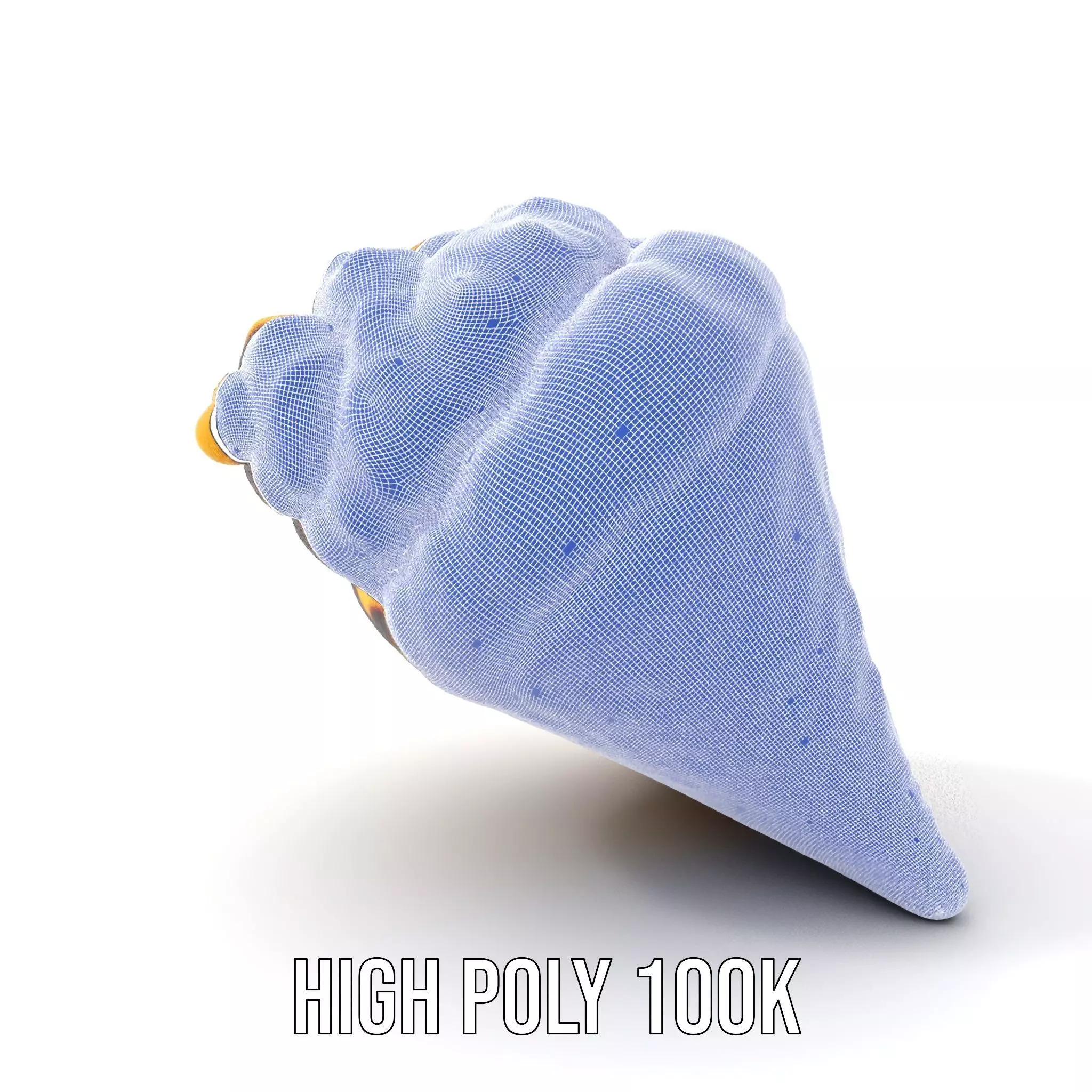 Patterned Seashell model pack Low-poly 3D model_5