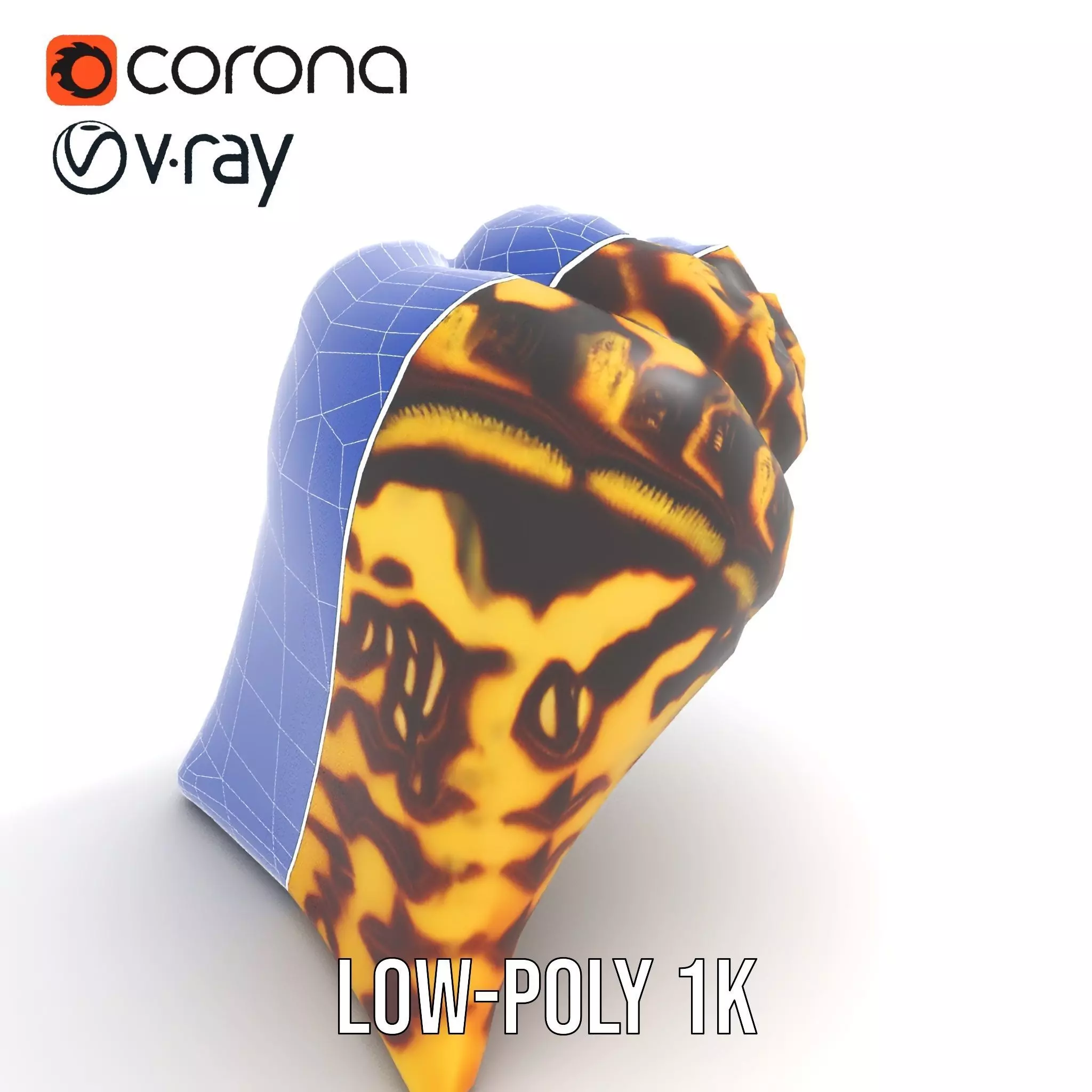 Patterned Seashell model pack Low-poly 3D model_20