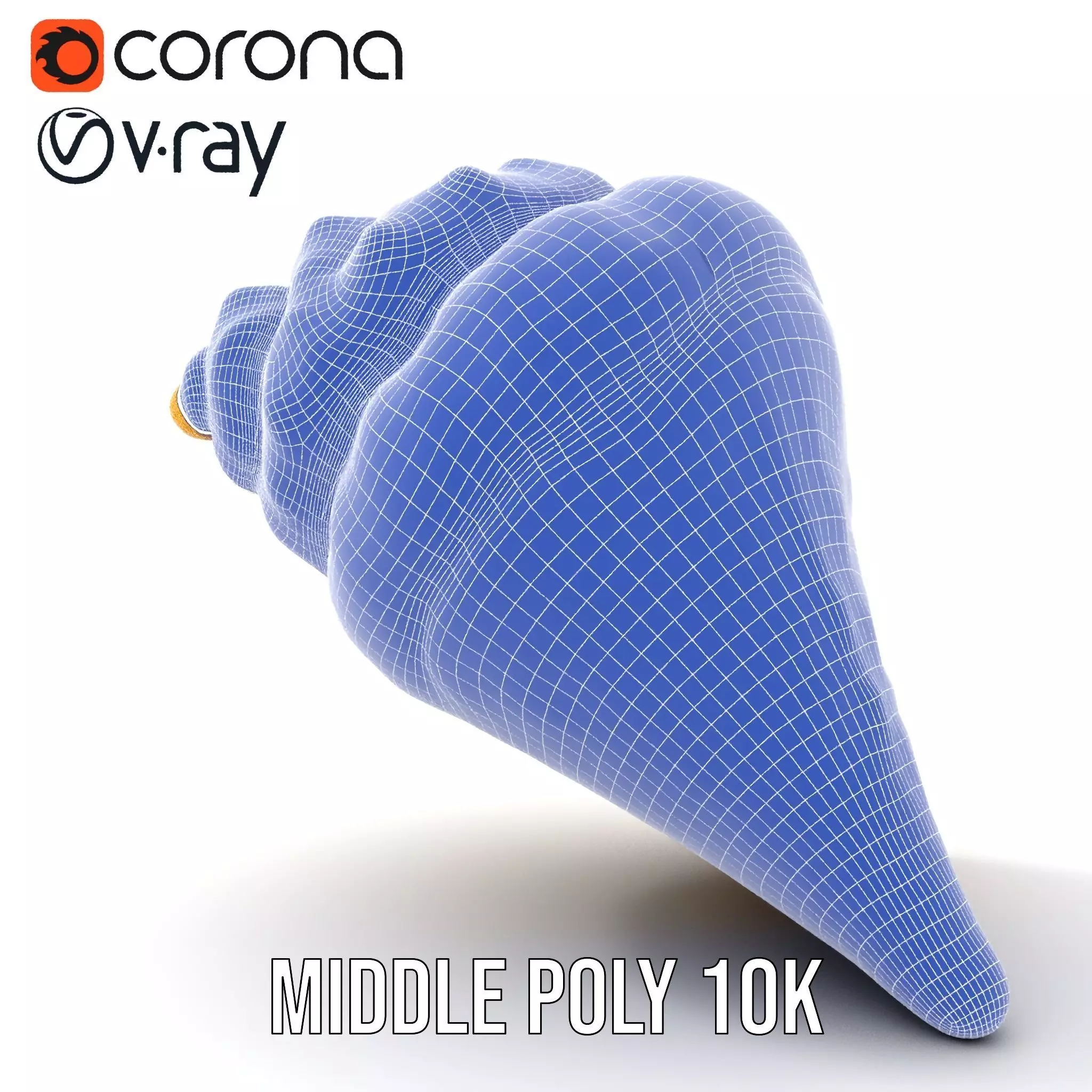 Patterned Seashell model pack Low-poly 3D model_22
