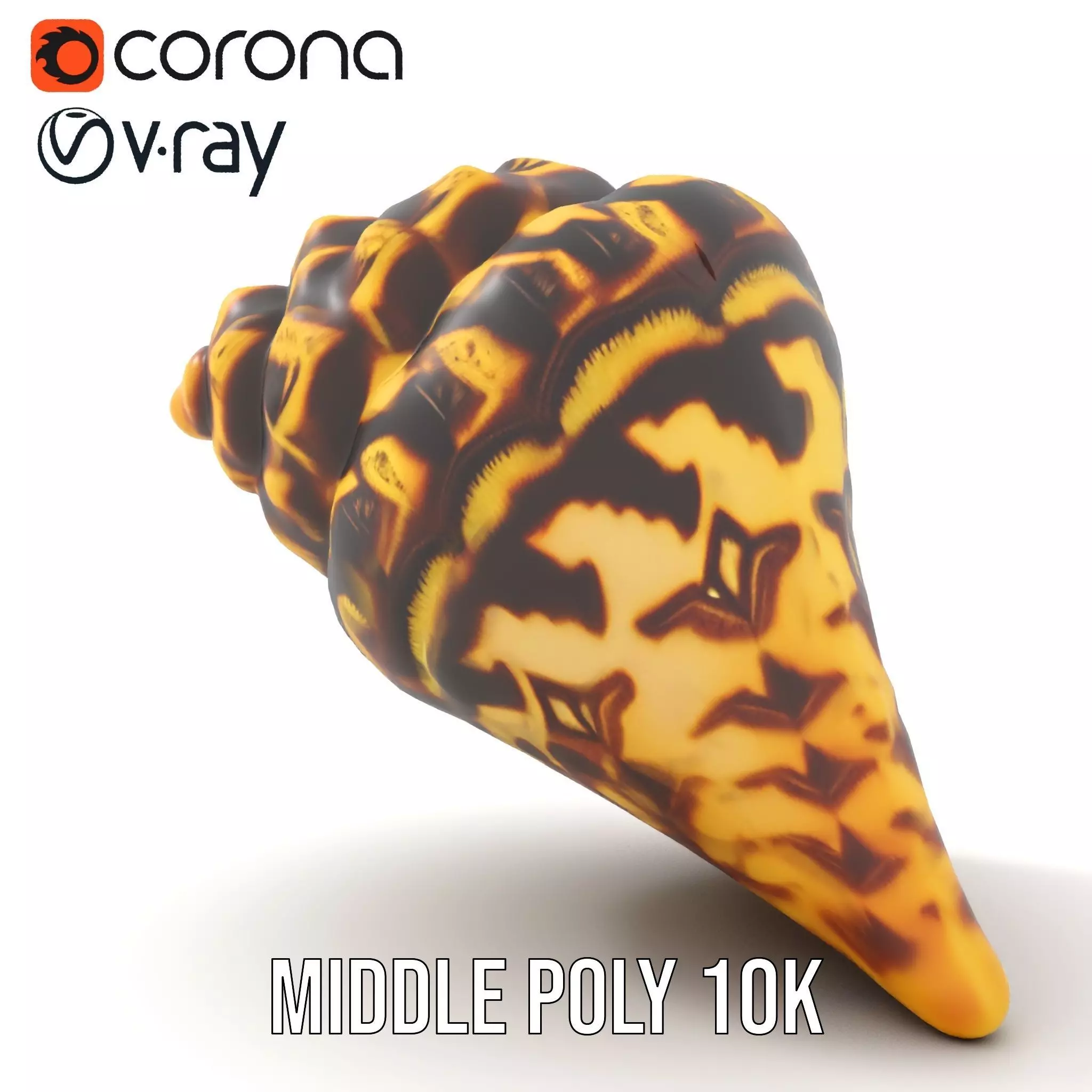 Patterned Seashell model pack Low-poly 3D model_16