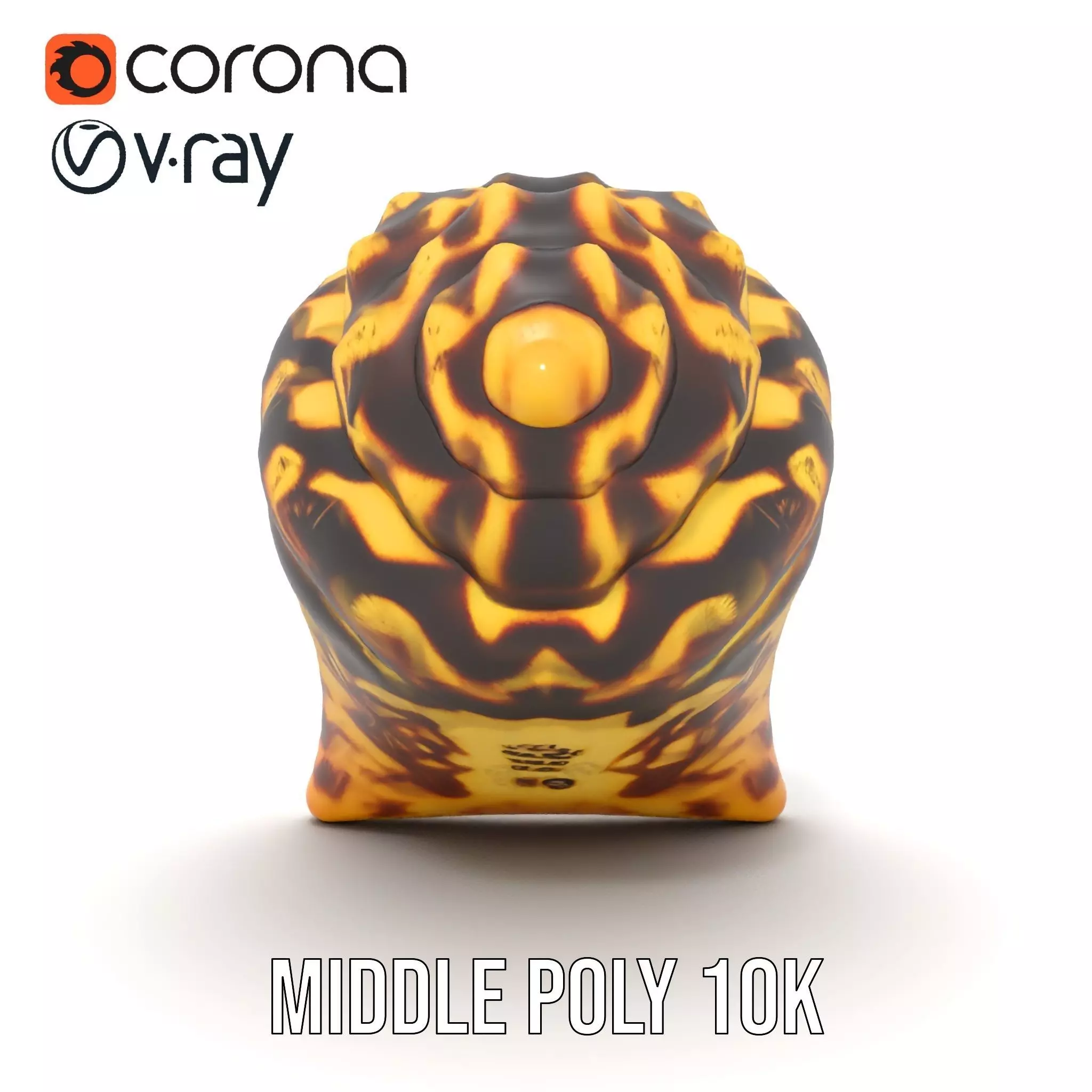 Patterned Seashell model pack Low-poly 3D model_25