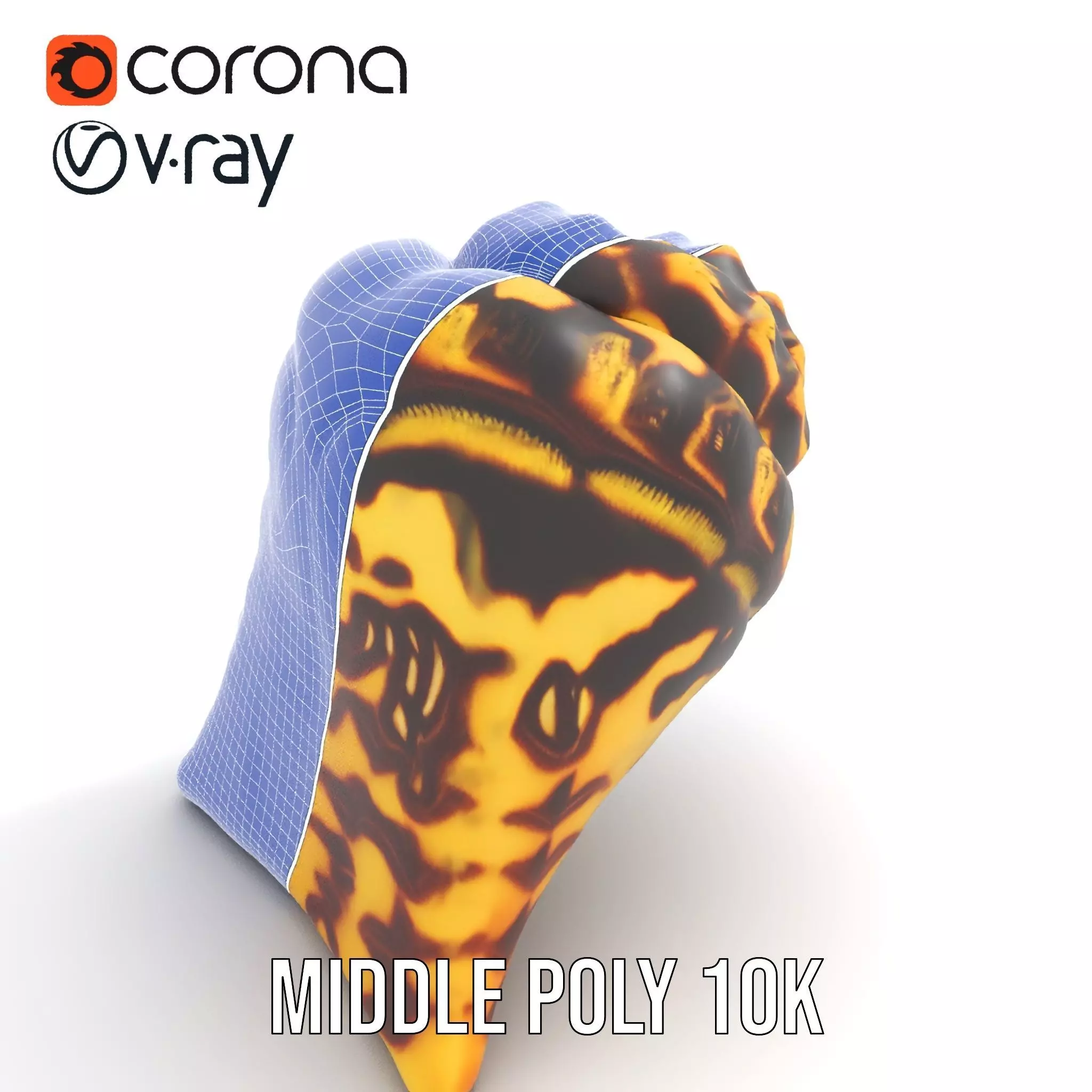 Patterned Seashell model pack Low-poly 3D model_19