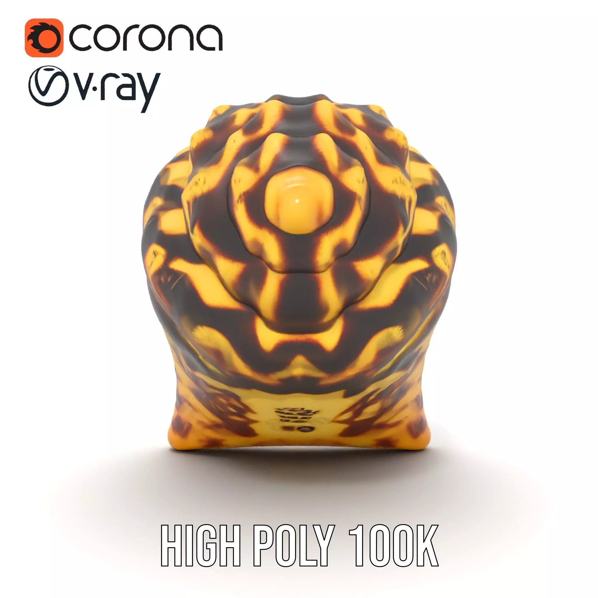 Patterned Seashell model pack Low-poly 3D model_35
