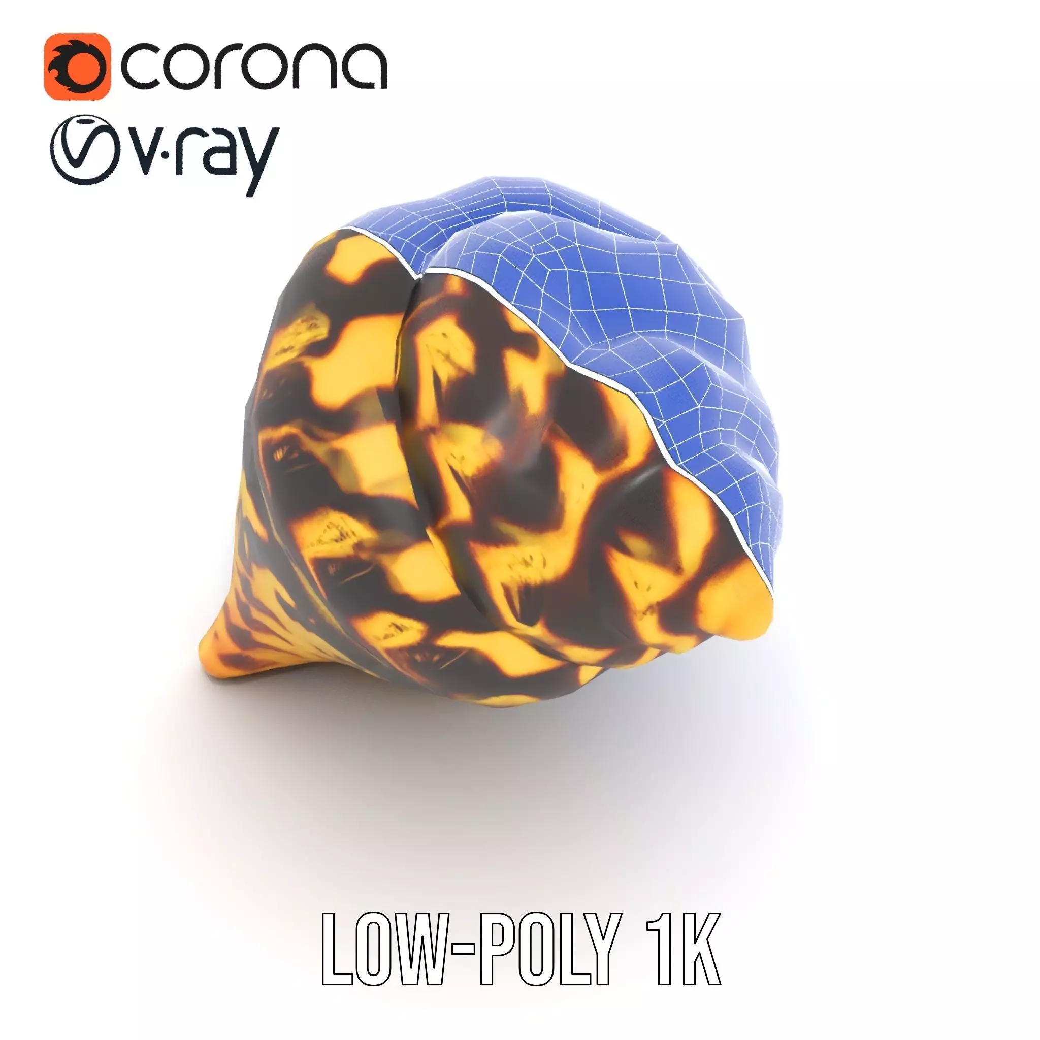 Patterned Seashell model pack Low-poly 3D model_23