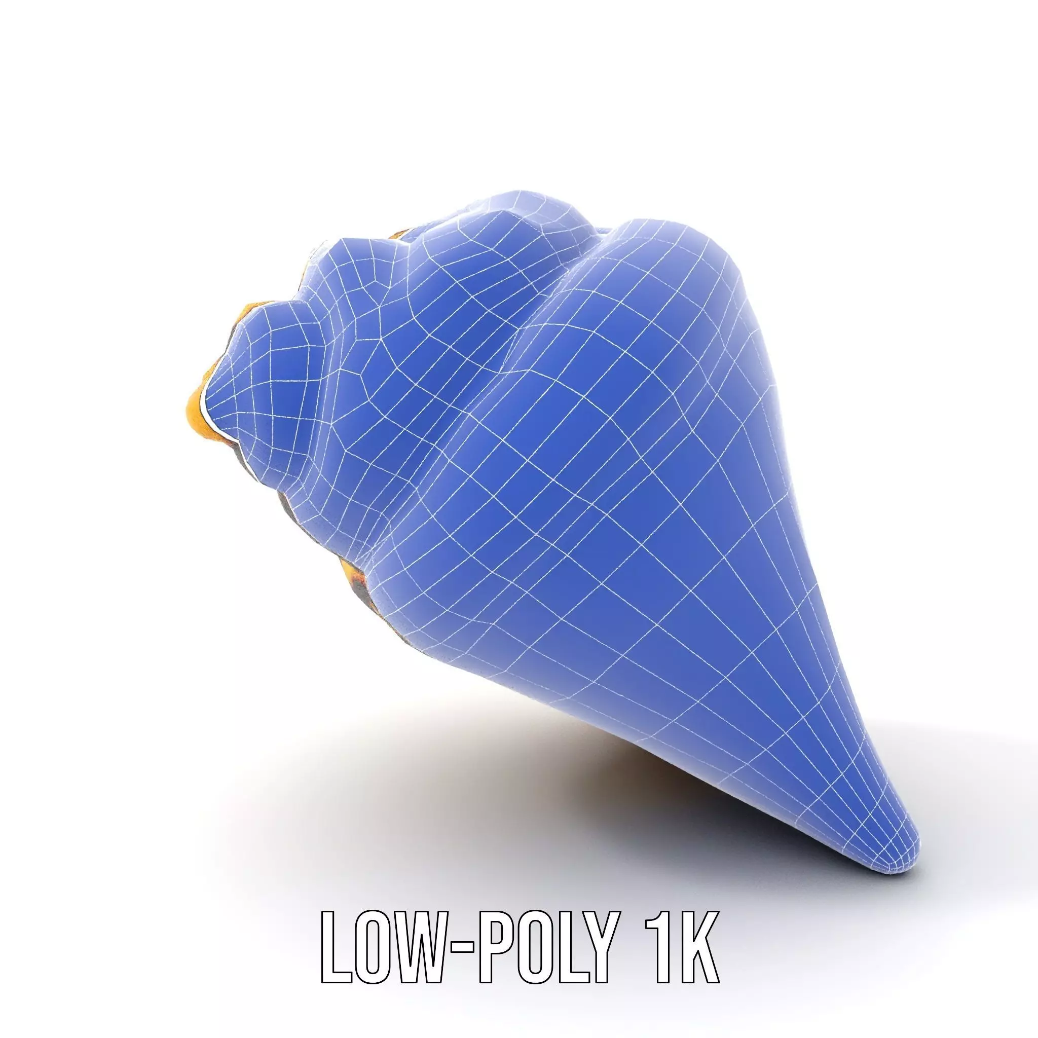 Patterned Seashell model pack Low-poly 3D model_8