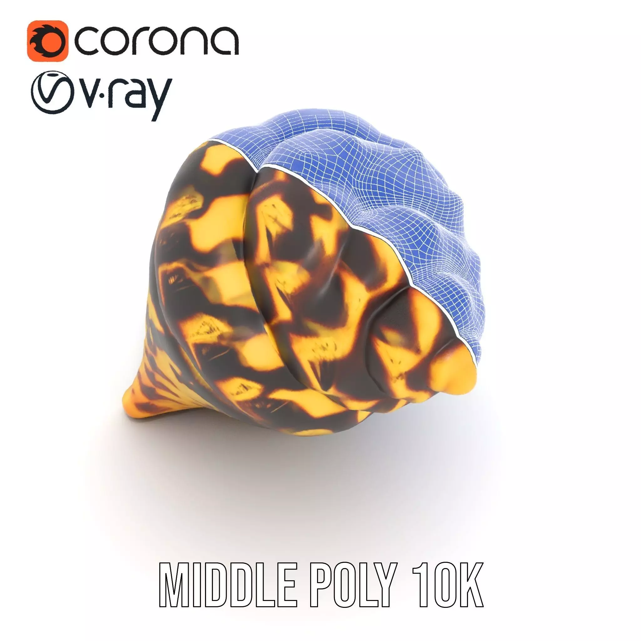Patterned Seashell model pack Low-poly 3D model_14