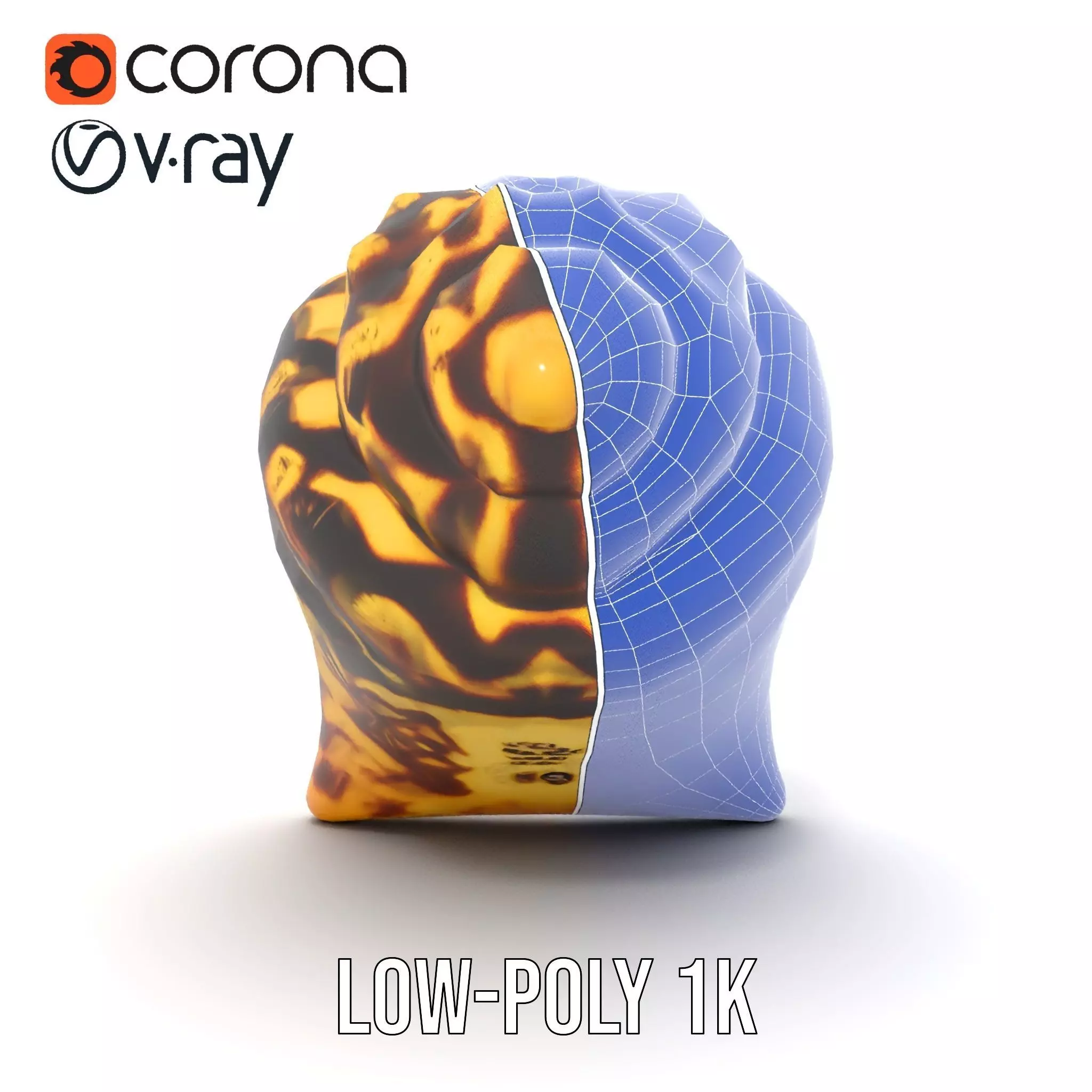 Patterned Seashell model pack Low-poly 3D model_29