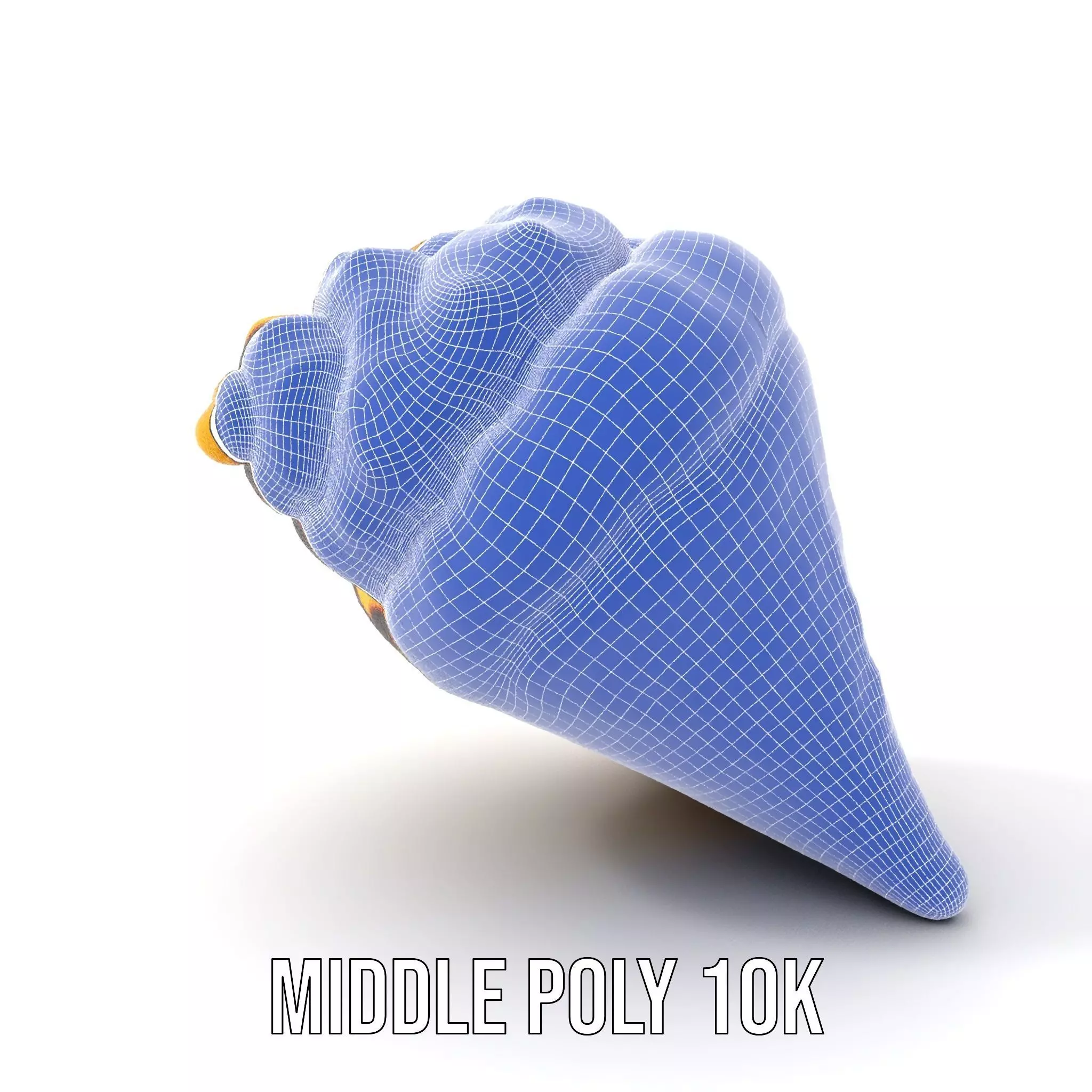 Patterned Seashell model pack Low-poly 3D model_31