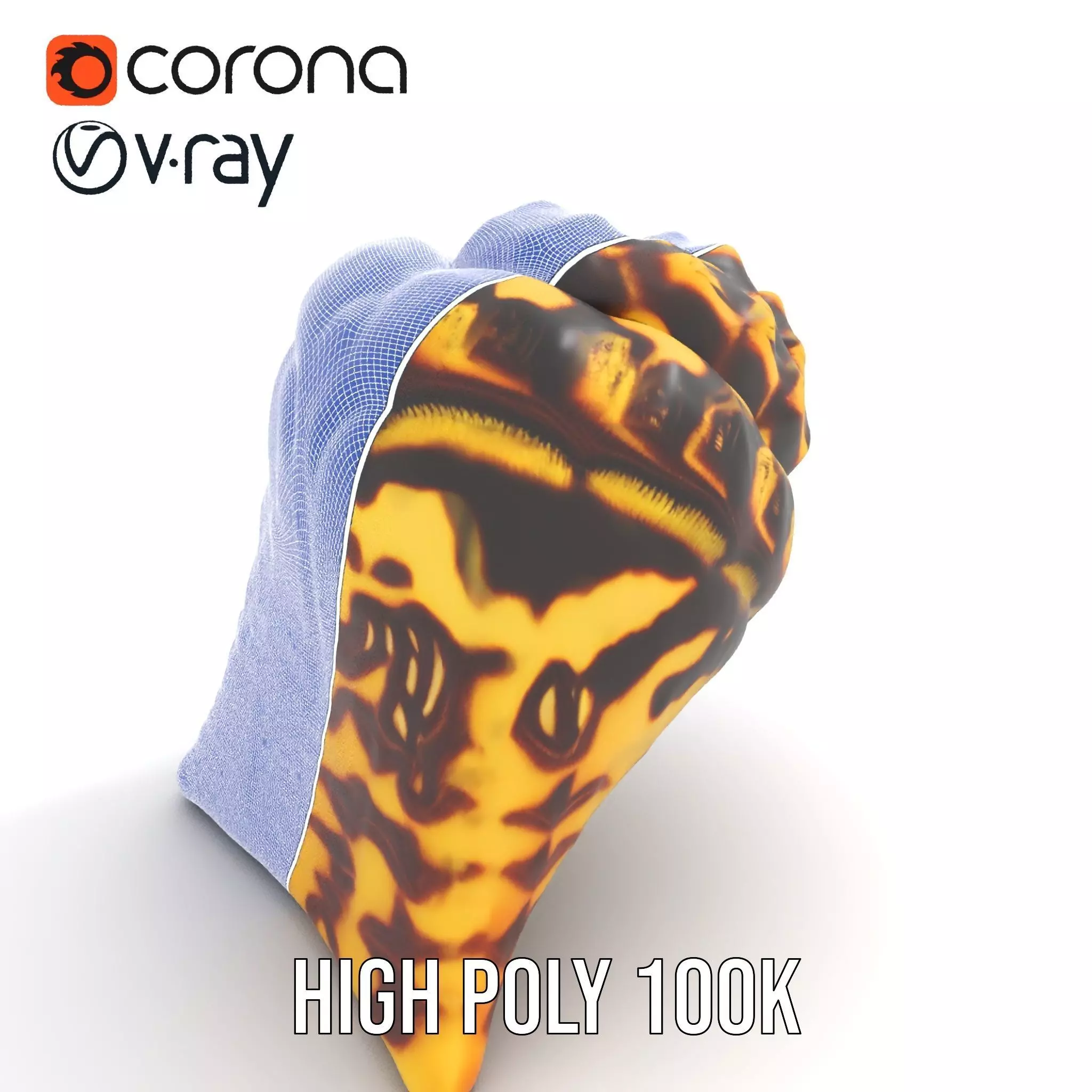 Patterned Seashell model pack Low-poly 3D model_27