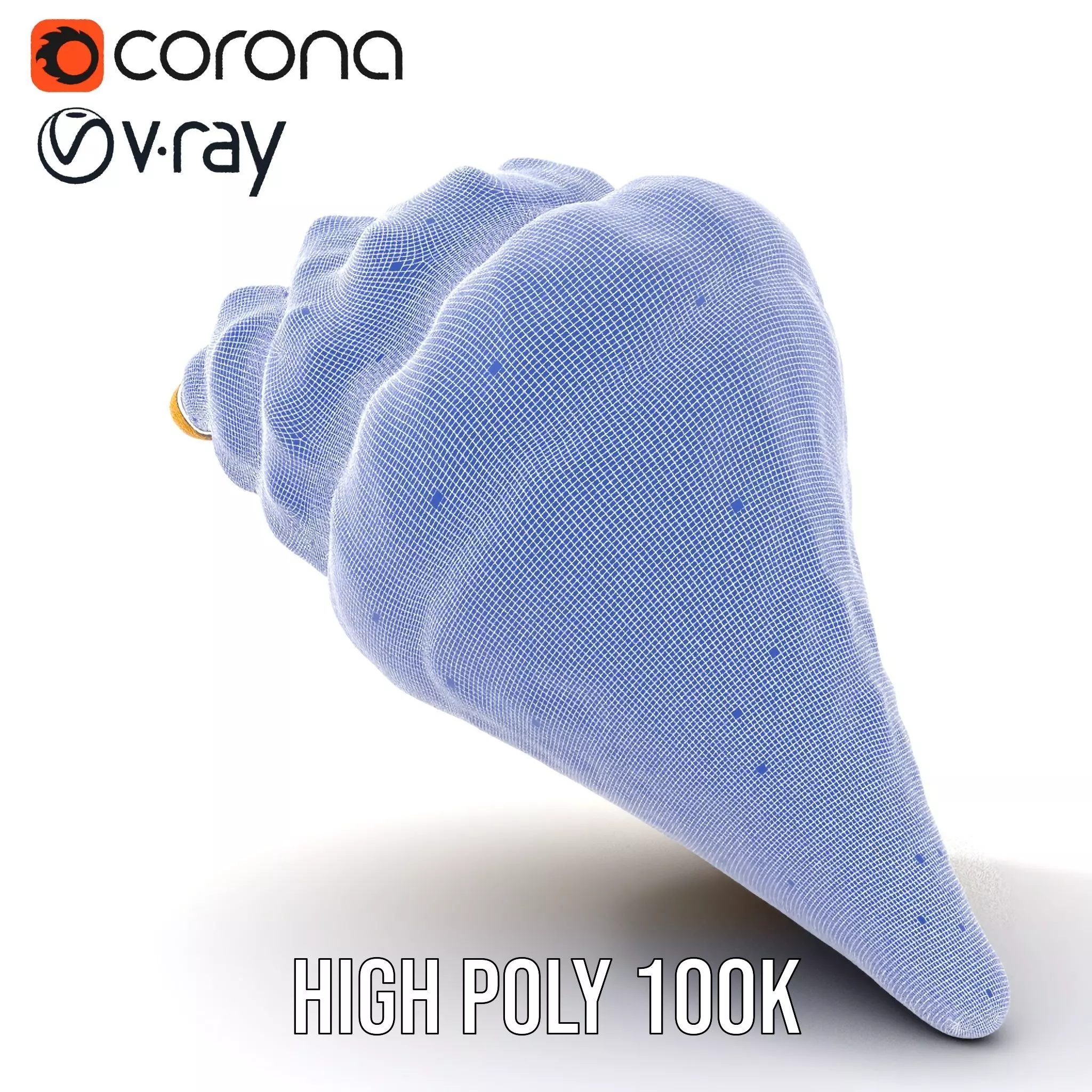 Patterned Seashell model pack Low-poly 3D model_34