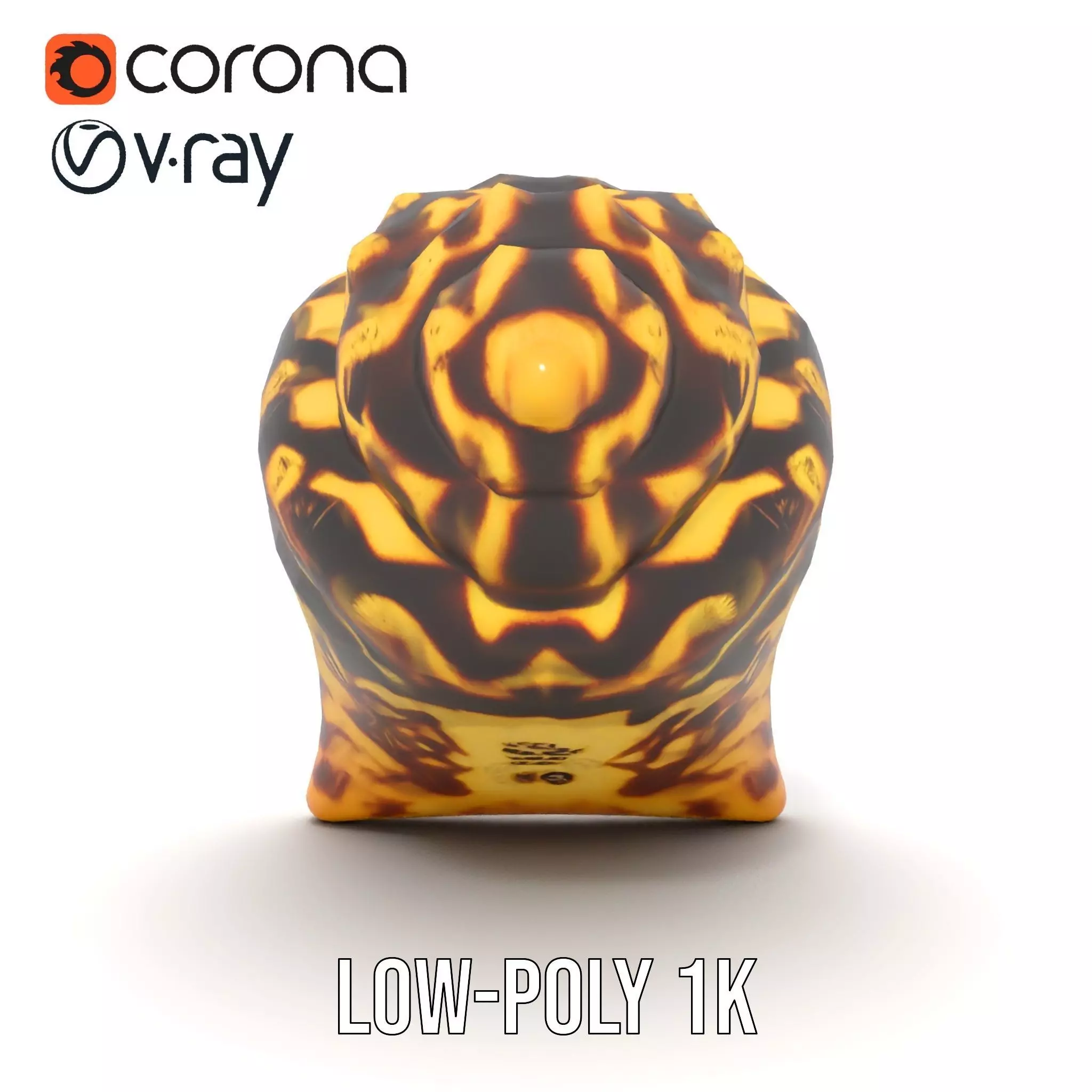 Patterned Seashell model pack Low-poly 3D model_15