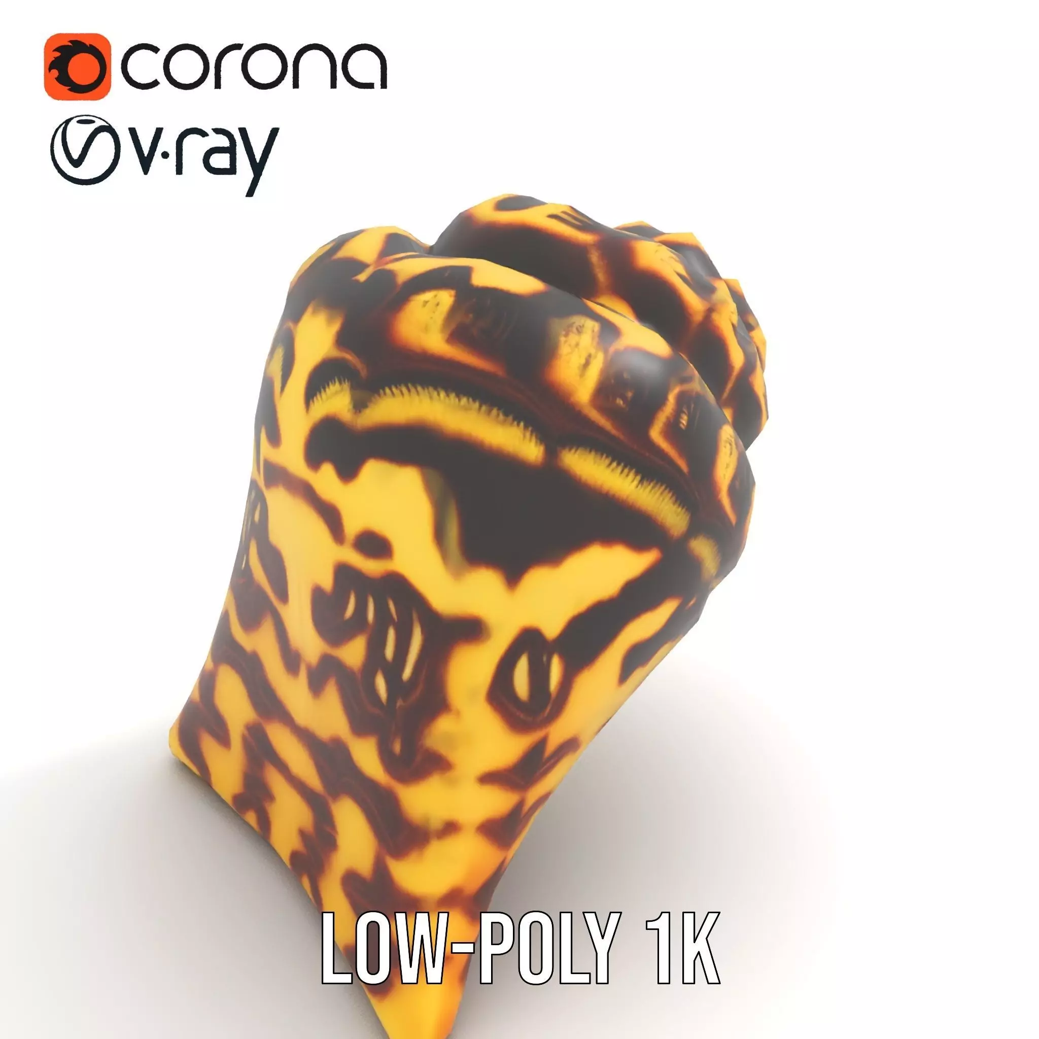 Patterned Seashell model pack Low-poly 3D model_13