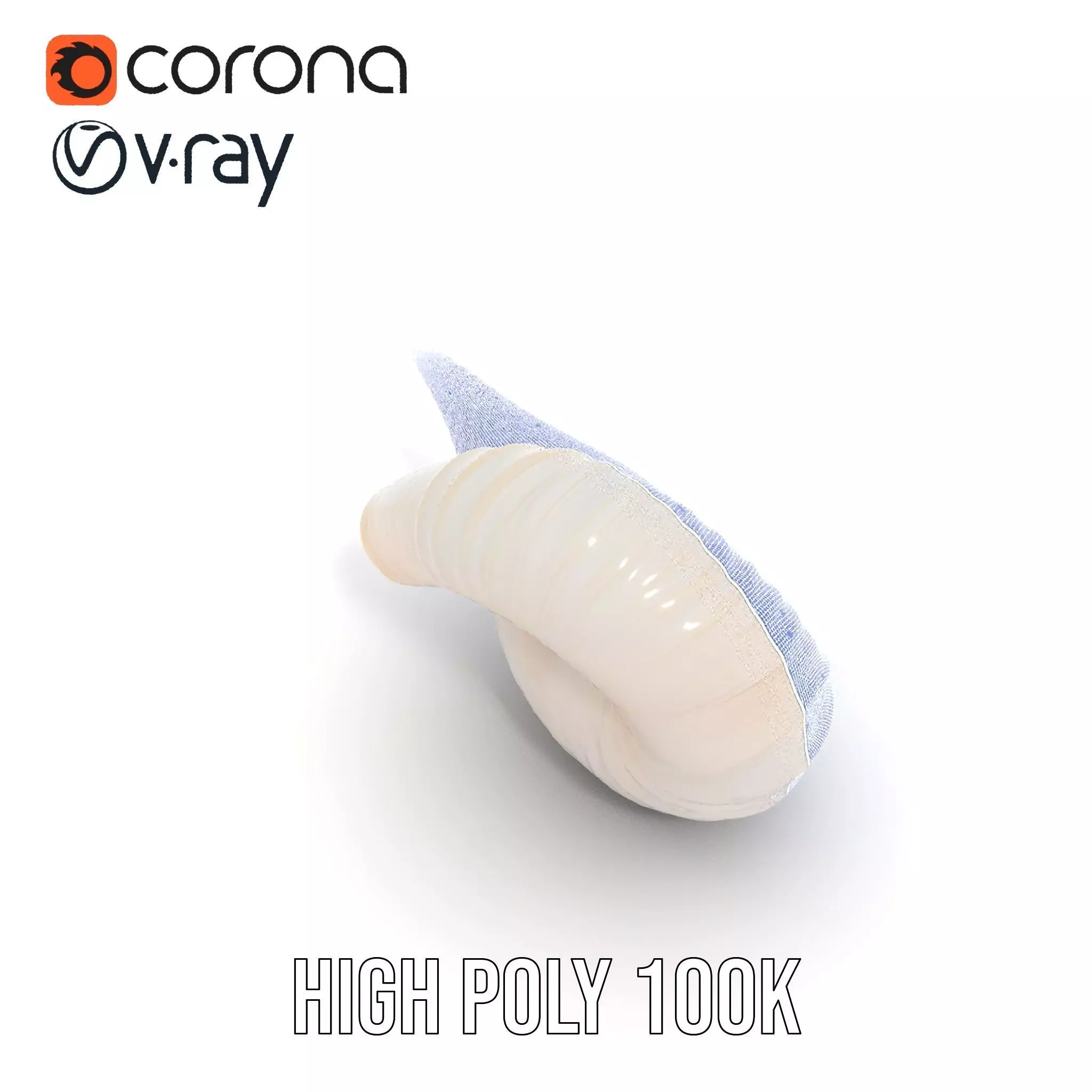 Elegant Spiral Seashell model pack Low-poly 3D model_27