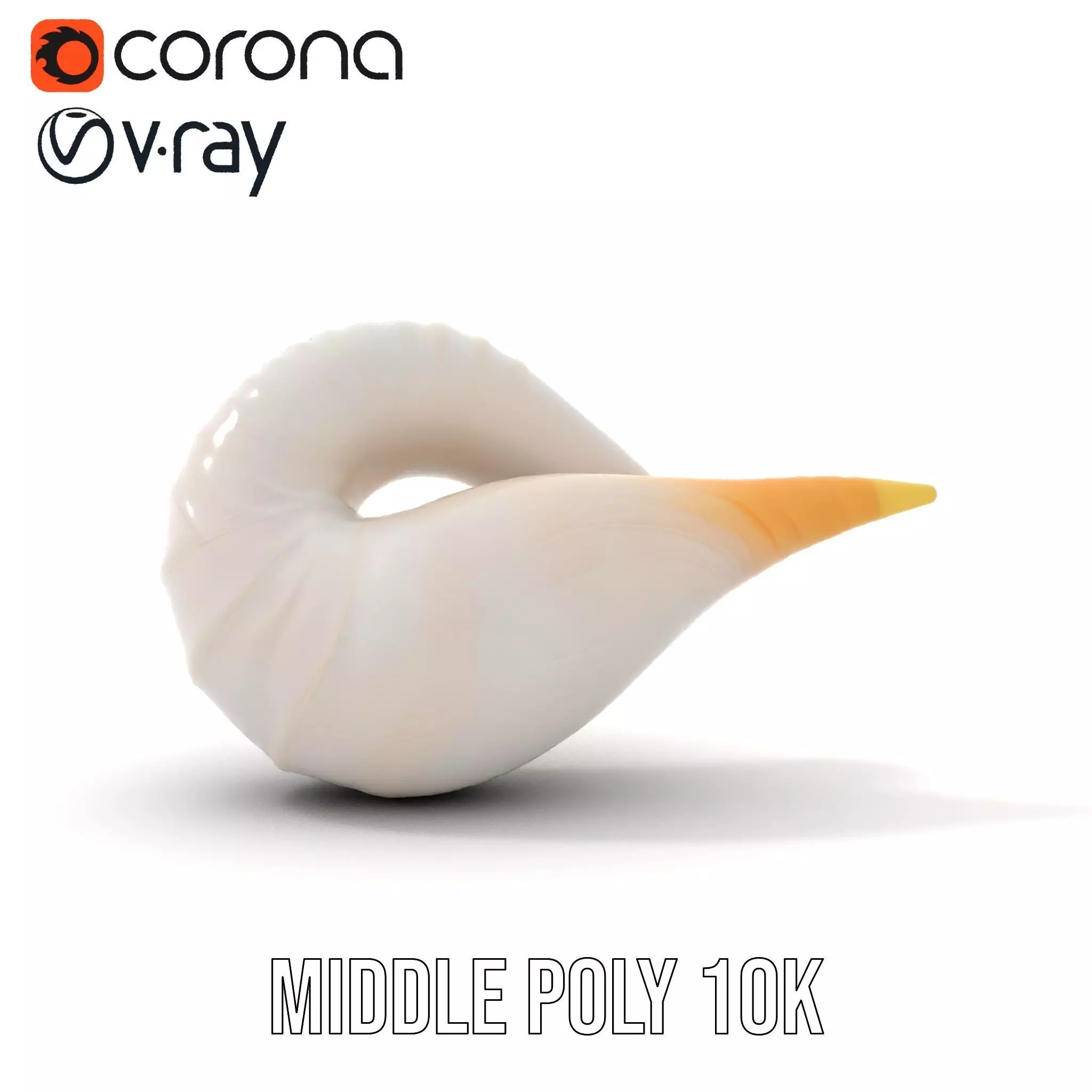 Elegant Spiral Seashell model pack Low-poly 3D model_12