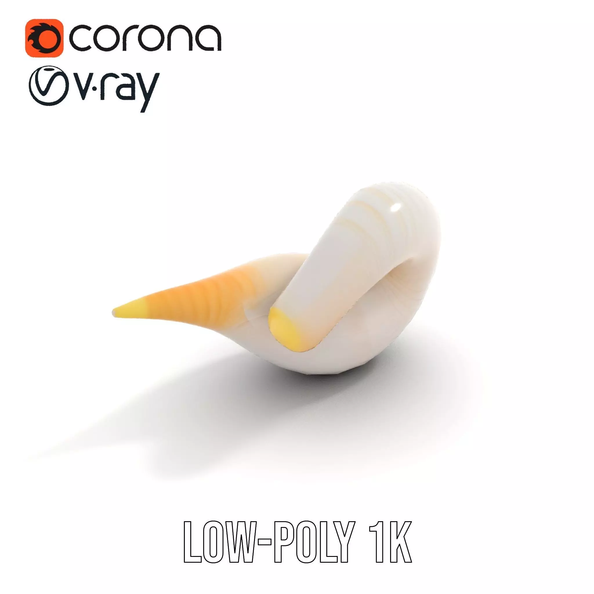 Elegant Spiral Seashell model pack Low-poly 3D model_8